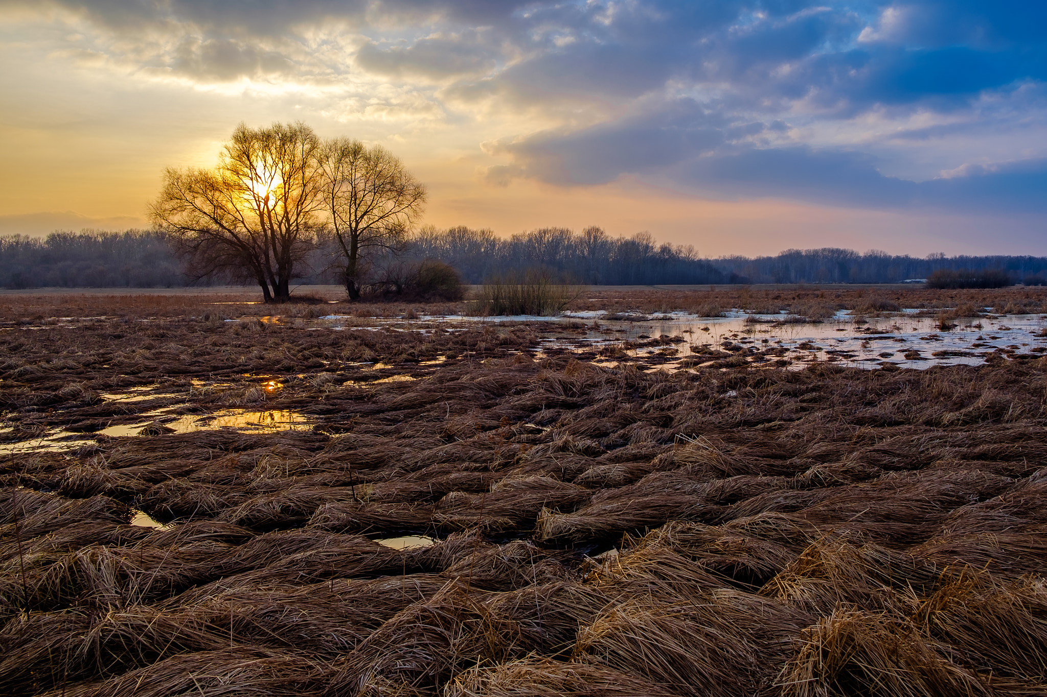 Fujifilm X-E2 + Fujifilm XF 18-55mm F2.8-4 R LM OIS sample photo. Sunset in lea photography