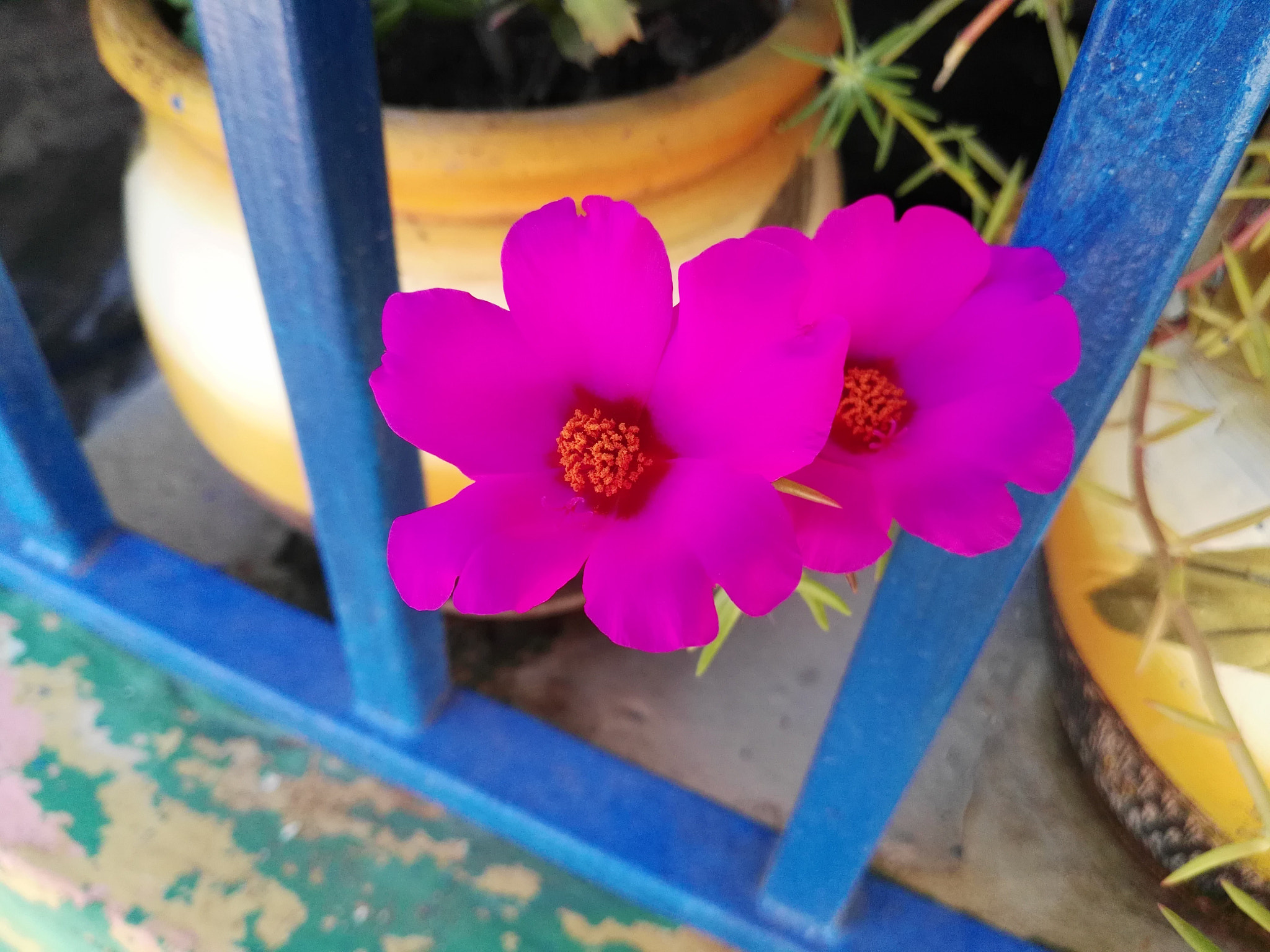 HUAWEI G8 sample photo. Huawei g8 photography