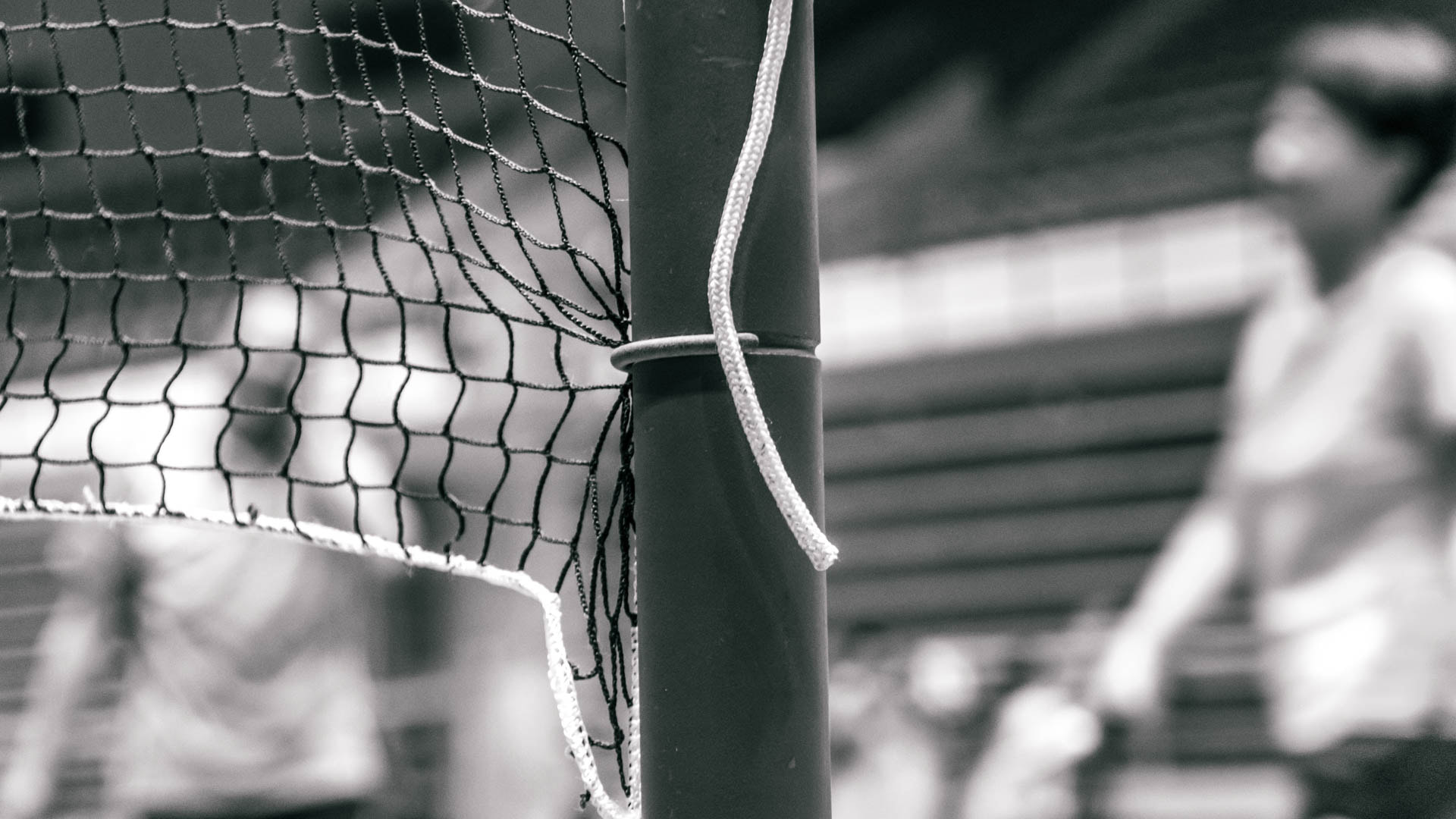 Nikon D7200 sample photo. Badminton net photography