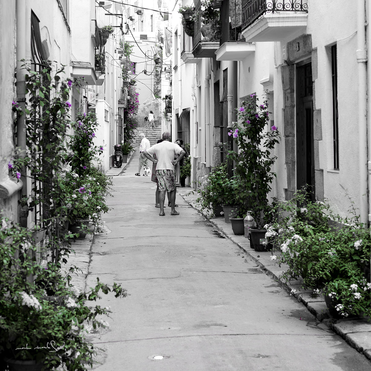 Canon EOS-1Ds Mark III sample photo. Blanes photography