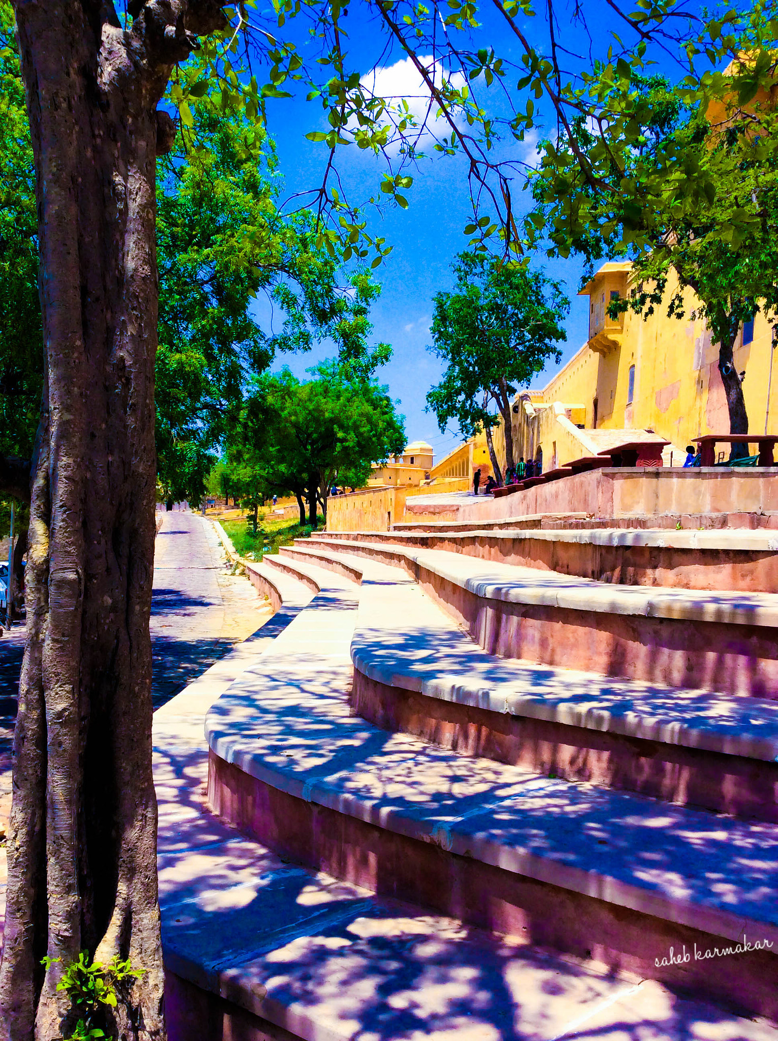 iPad mini 2 back camera 3.3mm f/2.4 sample photo. Diversity of colour emerging from shadow of white photography
