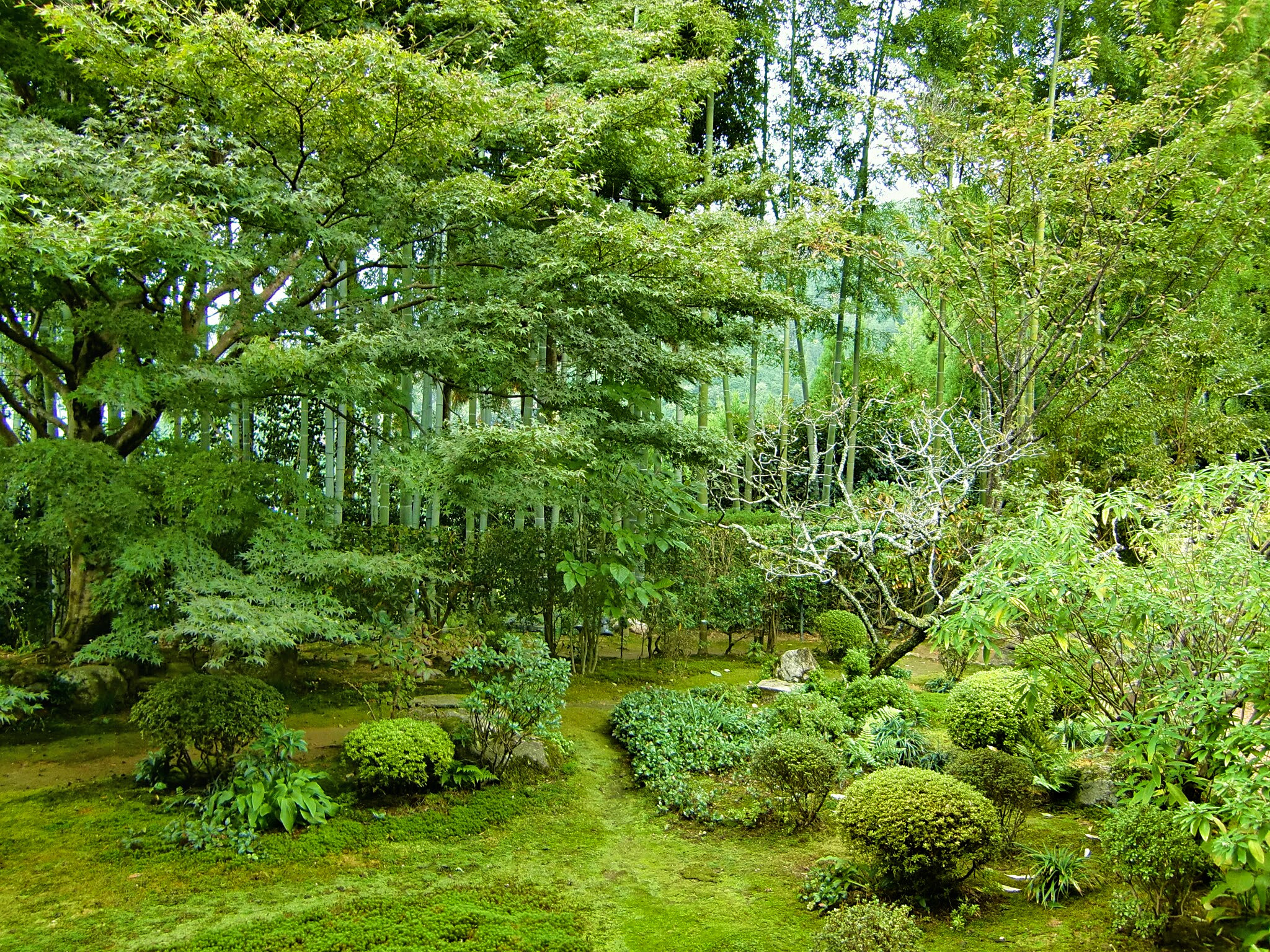 CASIO EX-Z450 sample photo. Beautiful garden photography