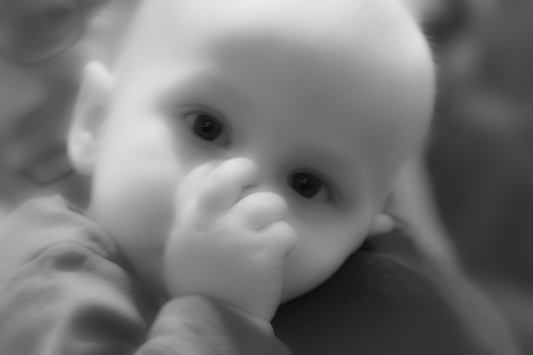 Canon EOS 600D (Rebel EOS T3i / EOS Kiss X5) sample photo. In his realm photography