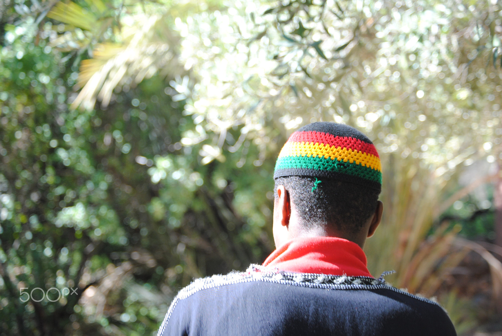 Nikon D3000 sample photo. Vmx photography