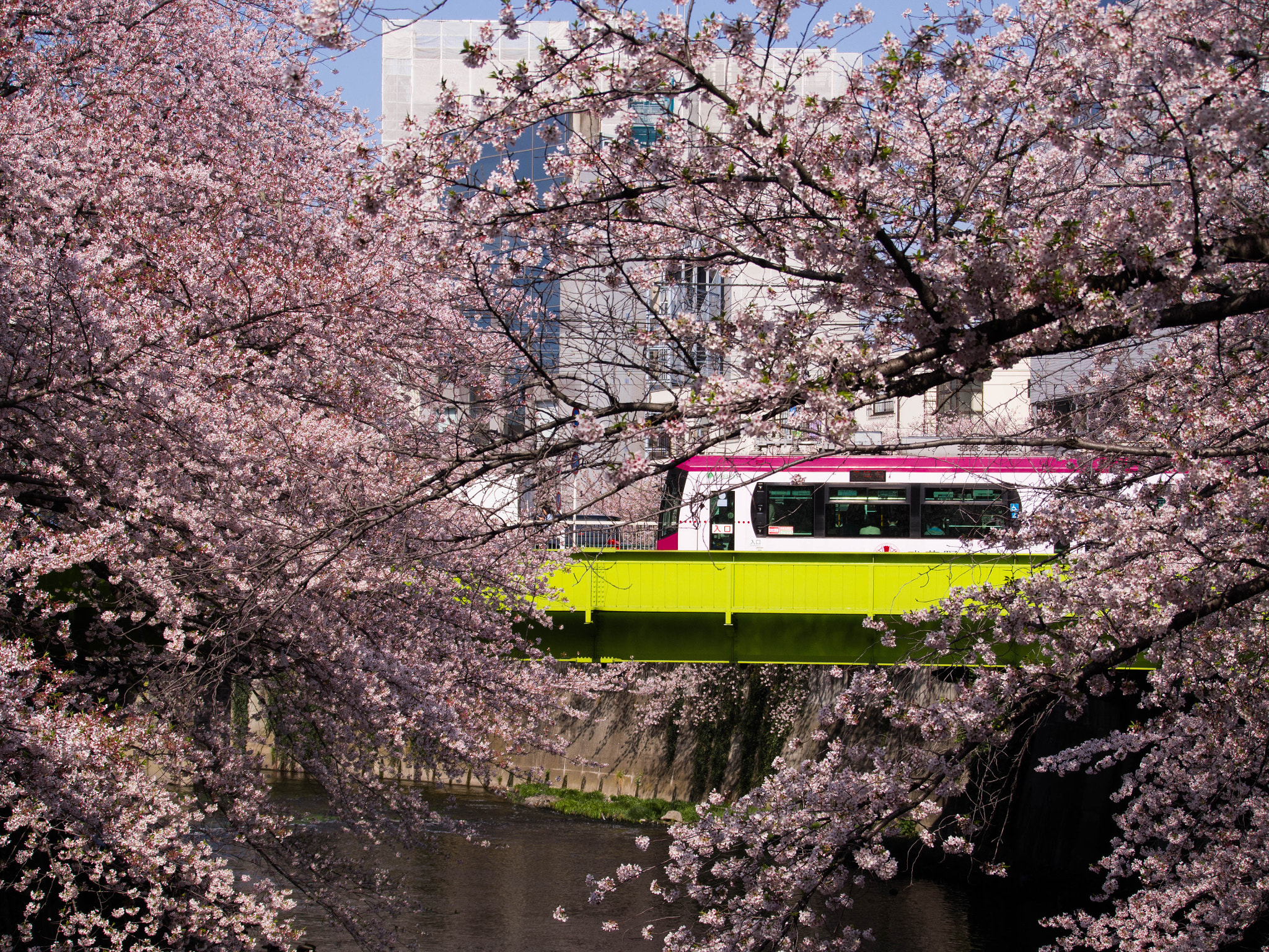 Tamron 14-150mm F3.5-5.8 Di III sample photo. Sakura tram photography