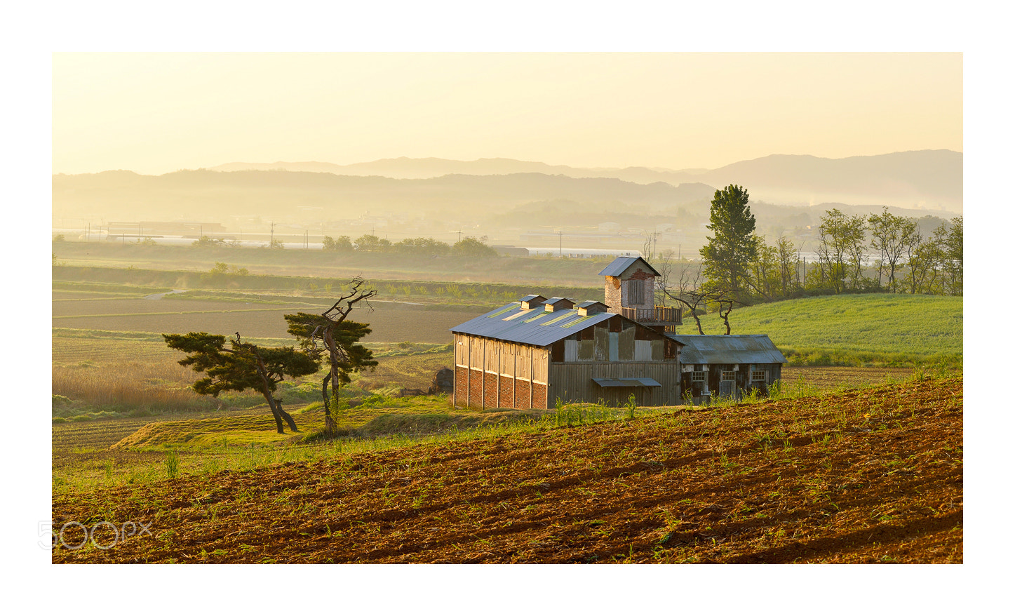 Nikon D800 + Nikon AF-Nikkor 80-200mm F2.8D ED sample photo. Morning in the farmland photography