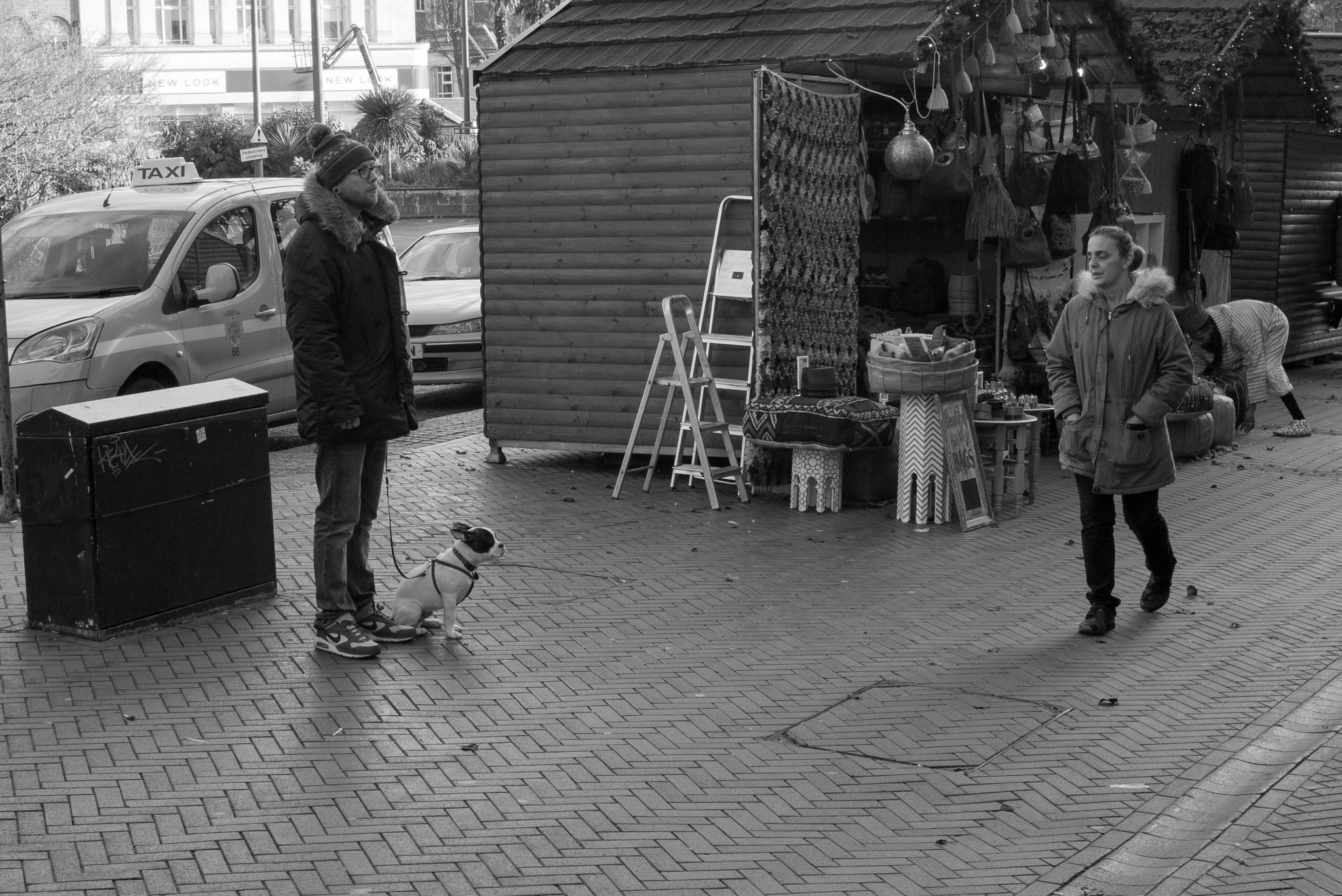 Summicron-M 1:2/35 ASPH. sample photo. Watch the dog photography