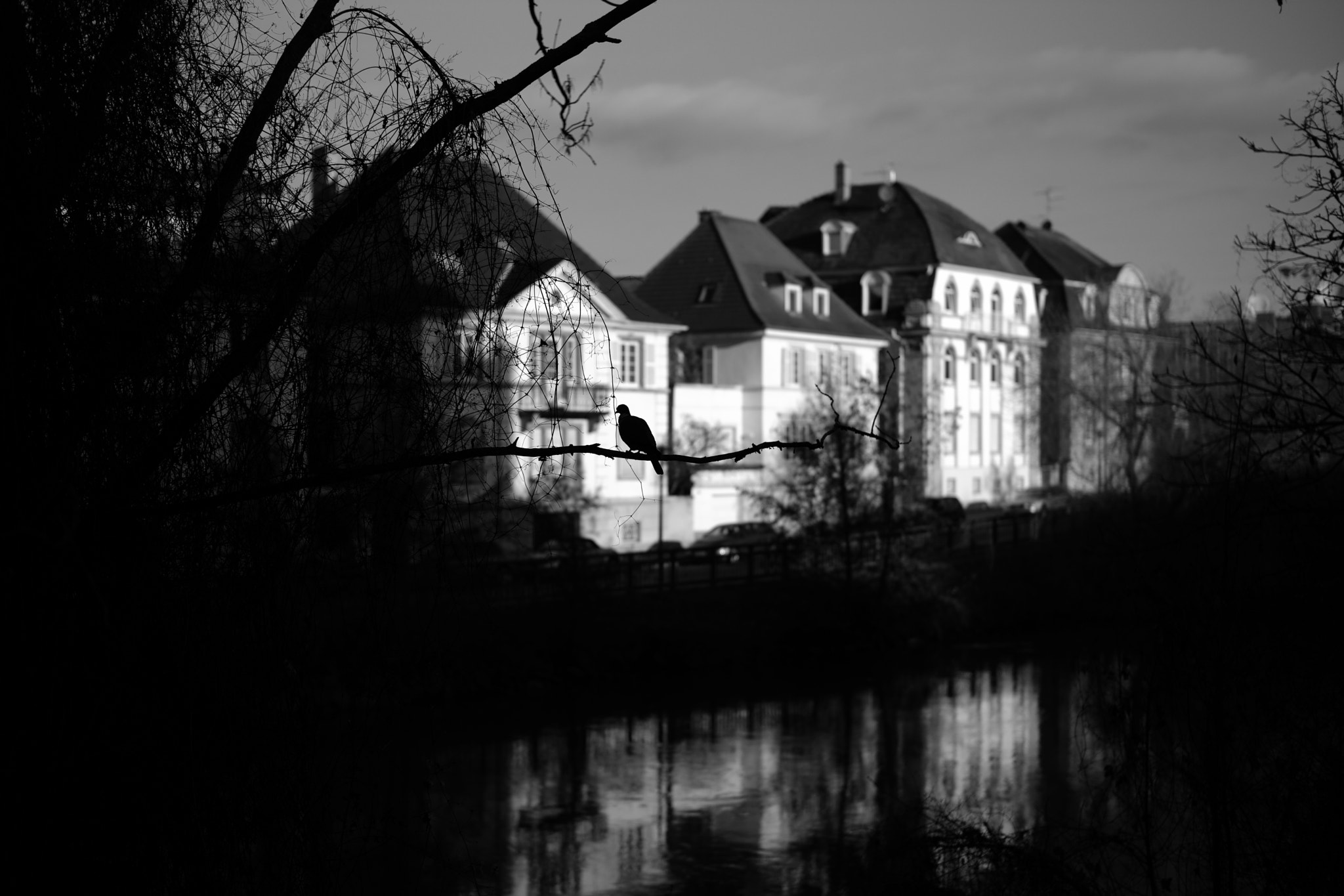 Leica Summilux-M 50mm F1.4 ASPH sample photo. Strasbourg photography