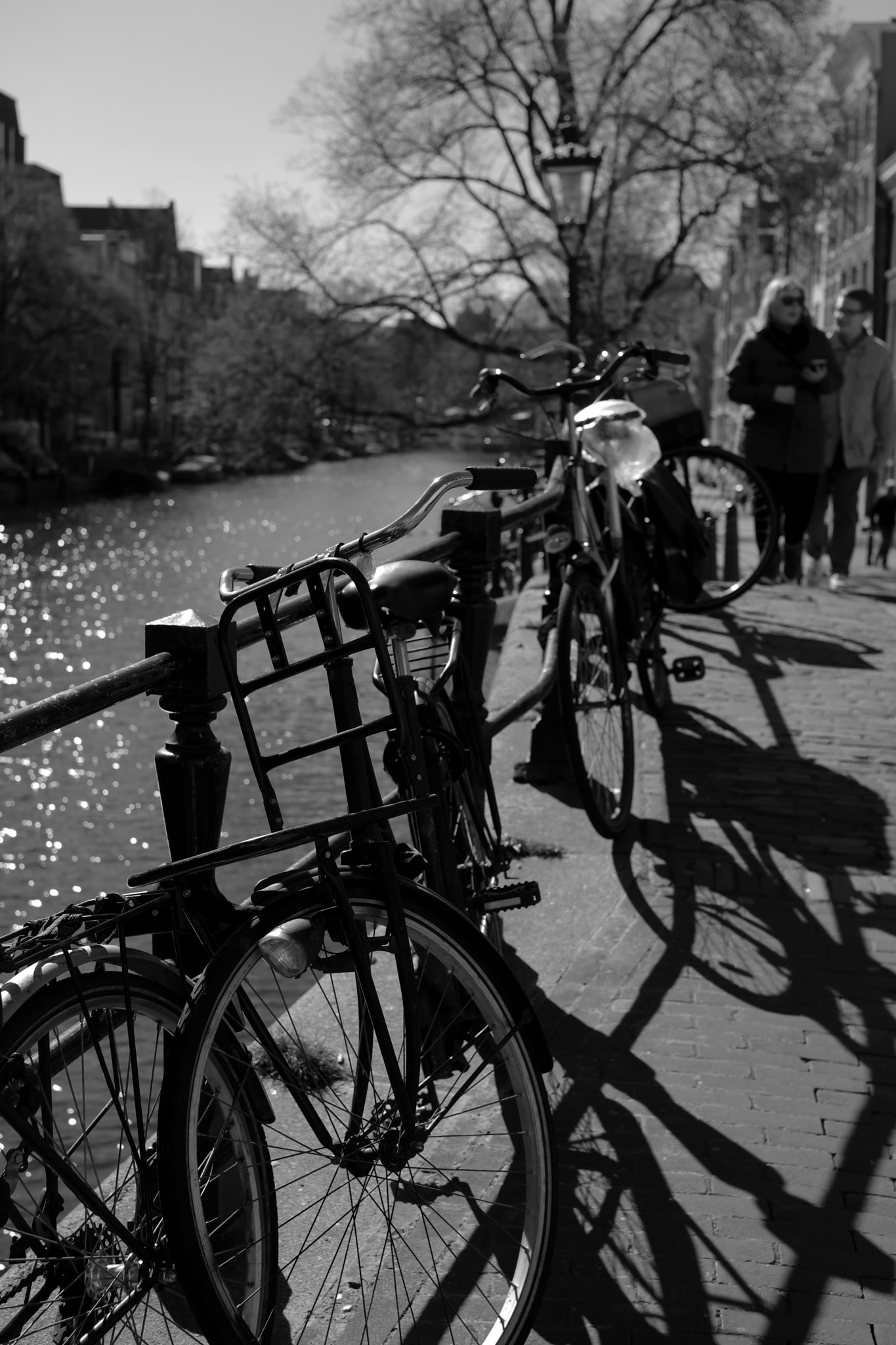 ZEISS Touit 32mm F1.8 sample photo. Bike at water in amsterdam 2017(2) photography