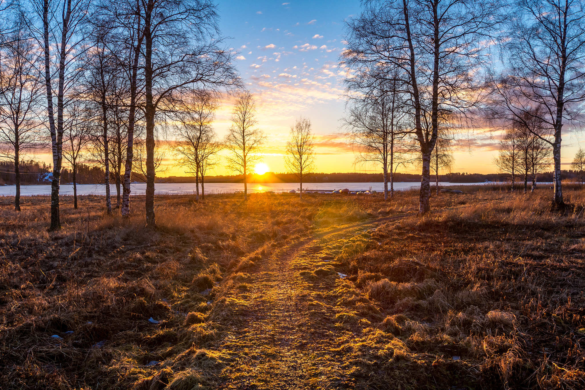 Sigma 10-20mm F3.5 EX DC HSM sample photo. Golden path photography