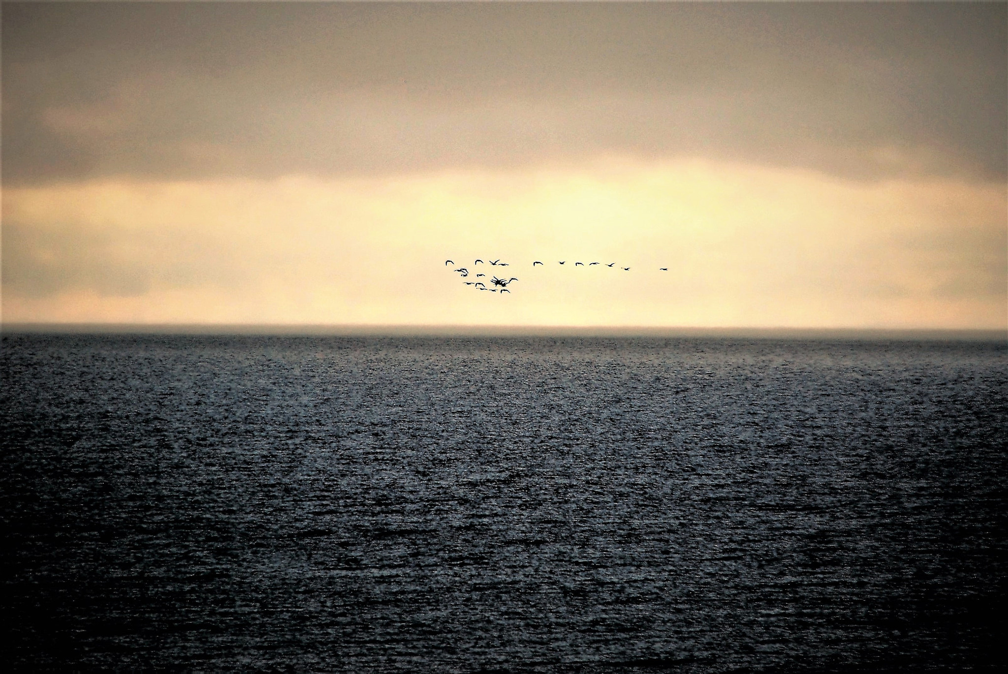 Nikon D40X sample photo. Over the water photography