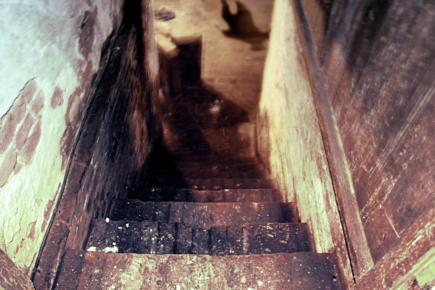 Canon EOS 100D (EOS Rebel SL1 / EOS Kiss X7) sample photo. The shadow in the basement photography