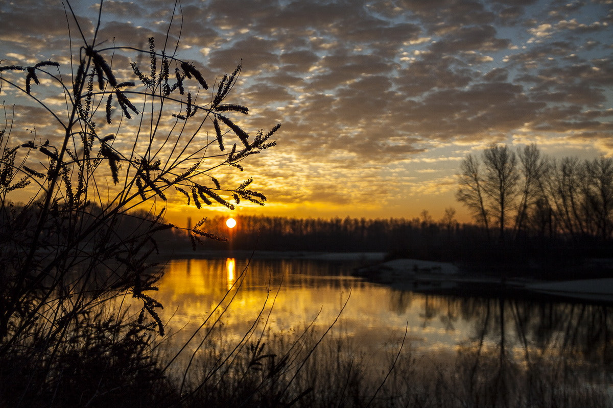 Canon EOS 50D + Canon EF-S 18-135mm F3.5-5.6 IS sample photo. Morning on the desna river photography