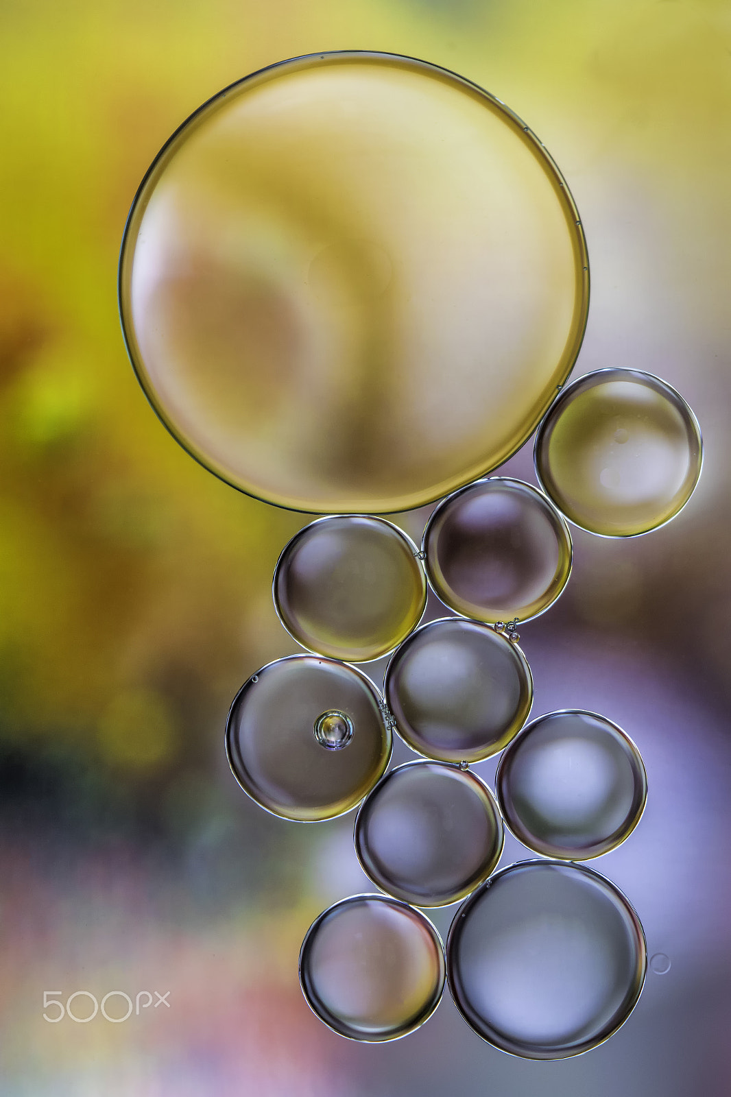 Nikon D5300 + Tamron SP 90mm F2.8 Di VC USD 1:1 Macro (F004) sample photo. Oil and water photography