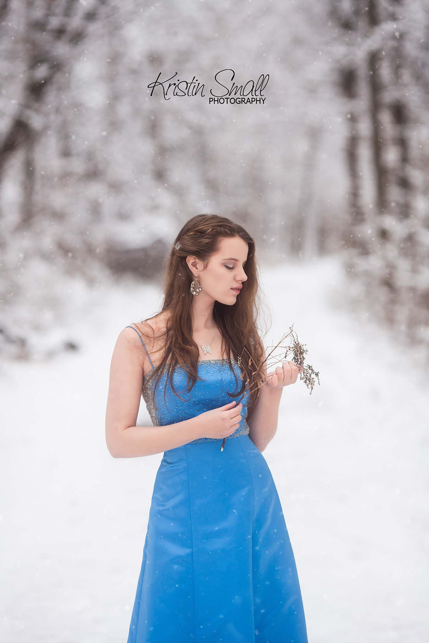 Canon EOS 5D Mark II + Canon EF 135mm F2L USM sample photo. The dead of winter photography
