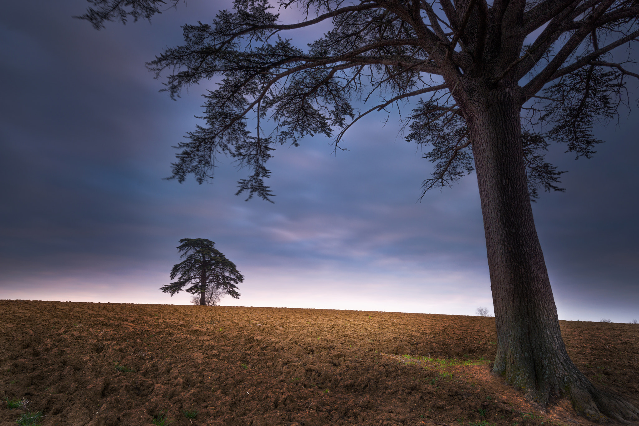 Nikon D800 + Nikon AF-S Nikkor 16-35mm F4G ED VR sample photo. Patch of light in the field - by stefan pechou photography