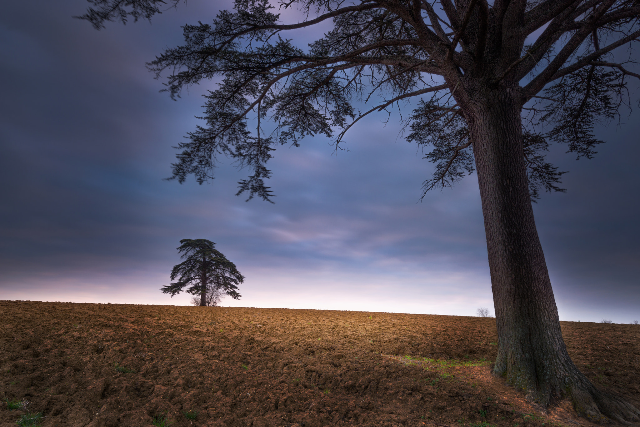 Nikon AF-S Nikkor 16-35mm F4G ED VR sample photo. Patch of light in the field - by stefan pechou photography