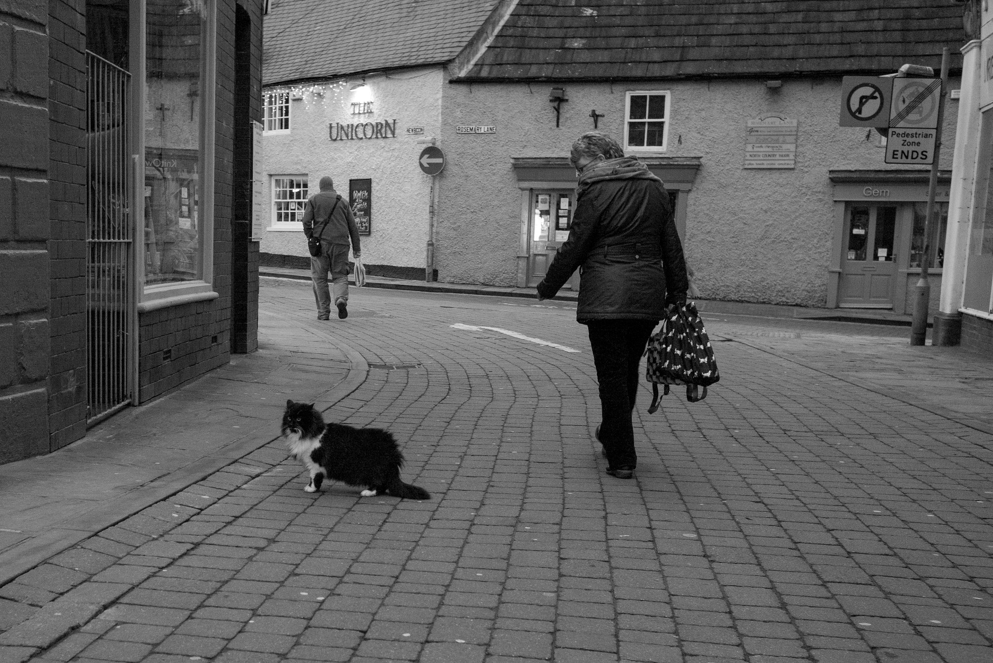 Summicron-M 1:2/35 ASPH. sample photo. Watch the cat photography