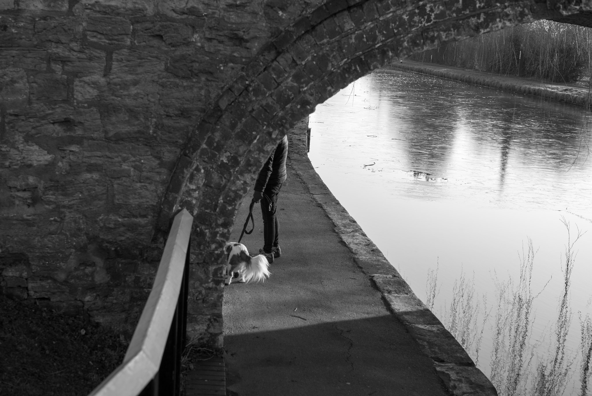 Leica Summilux-M 50mm F1.4 ASPH sample photo. Dog under the bridge photography