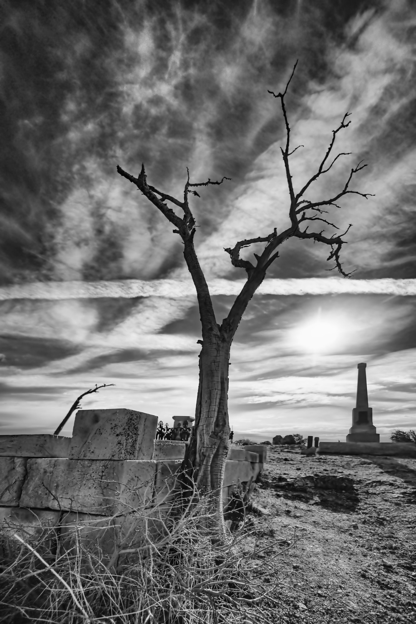 Sony a7 + Sony E 10-18mm F4 OSS sample photo. Tree in graveyard photography