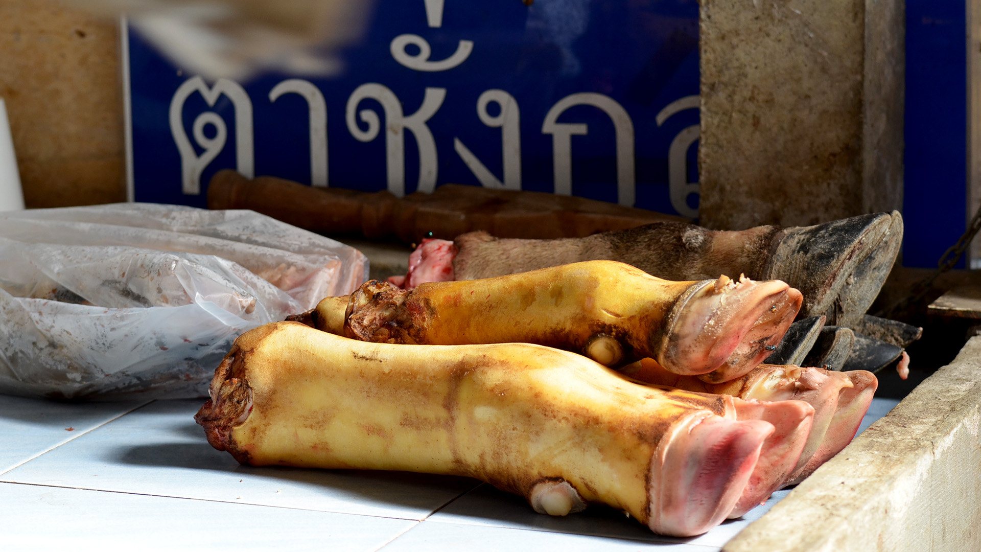 Nikon AF-S Micro-Nikkor 105mm F2.8G IF-ED VR sample photo. Thailand photography
