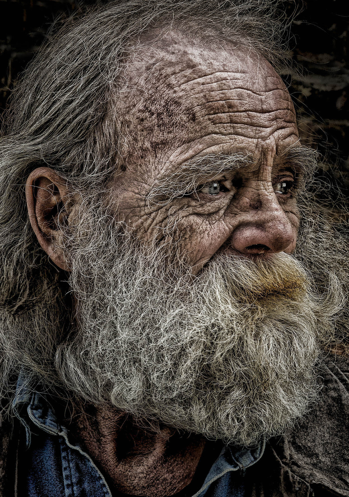 Sony ILCA-77M2 sample photo. Dennistfin photography