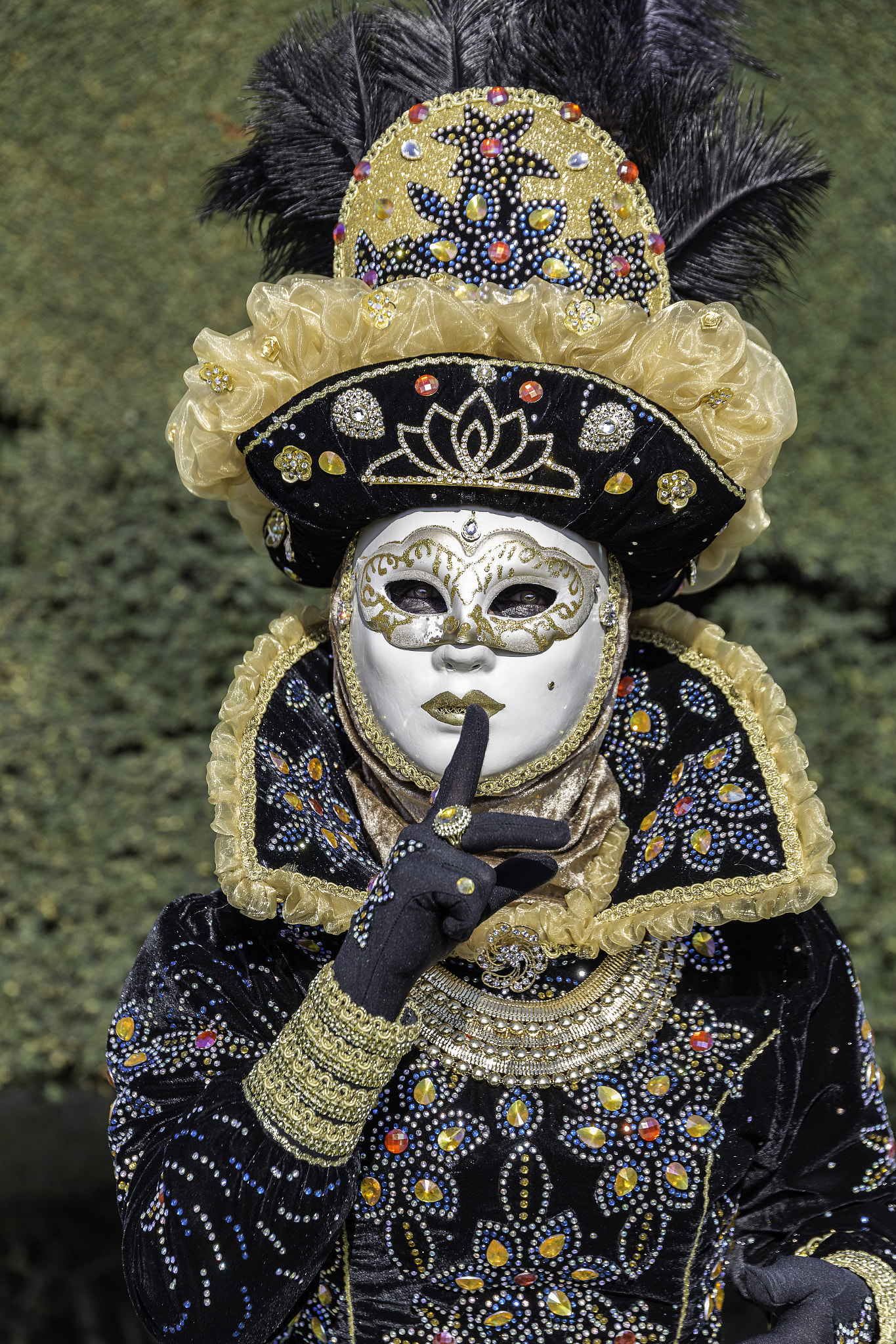 Canon EOS 6D + Sigma 24-105mm f/4 DG OS HSM | A sample photo. Castres masques venitiens x viveza photography