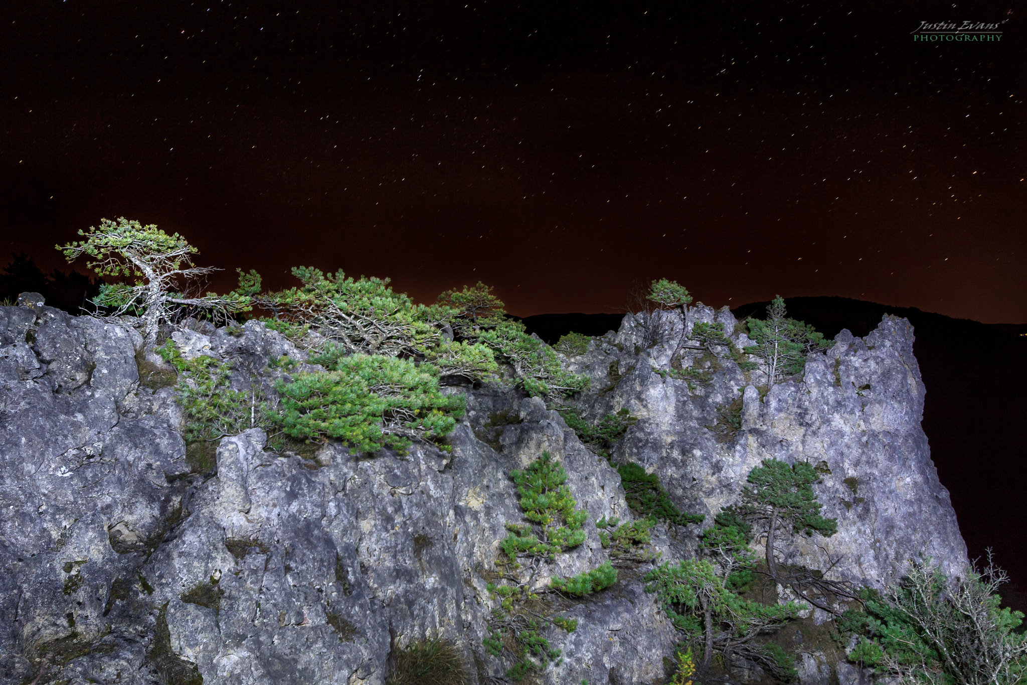 Canon EF-S 10-22mm F3.5-4.5 USM sample photo. Natural bonsai in aveyron, france photography