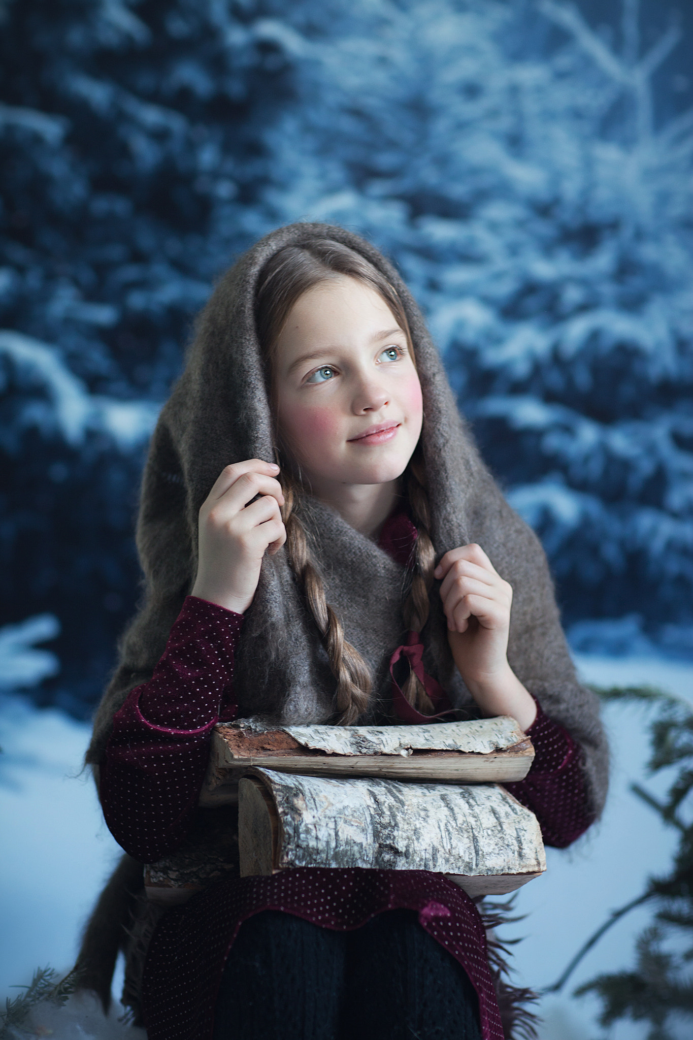 Canon EF 85mm F1.2L II USM sample photo. Cold winter / холодная зима photography