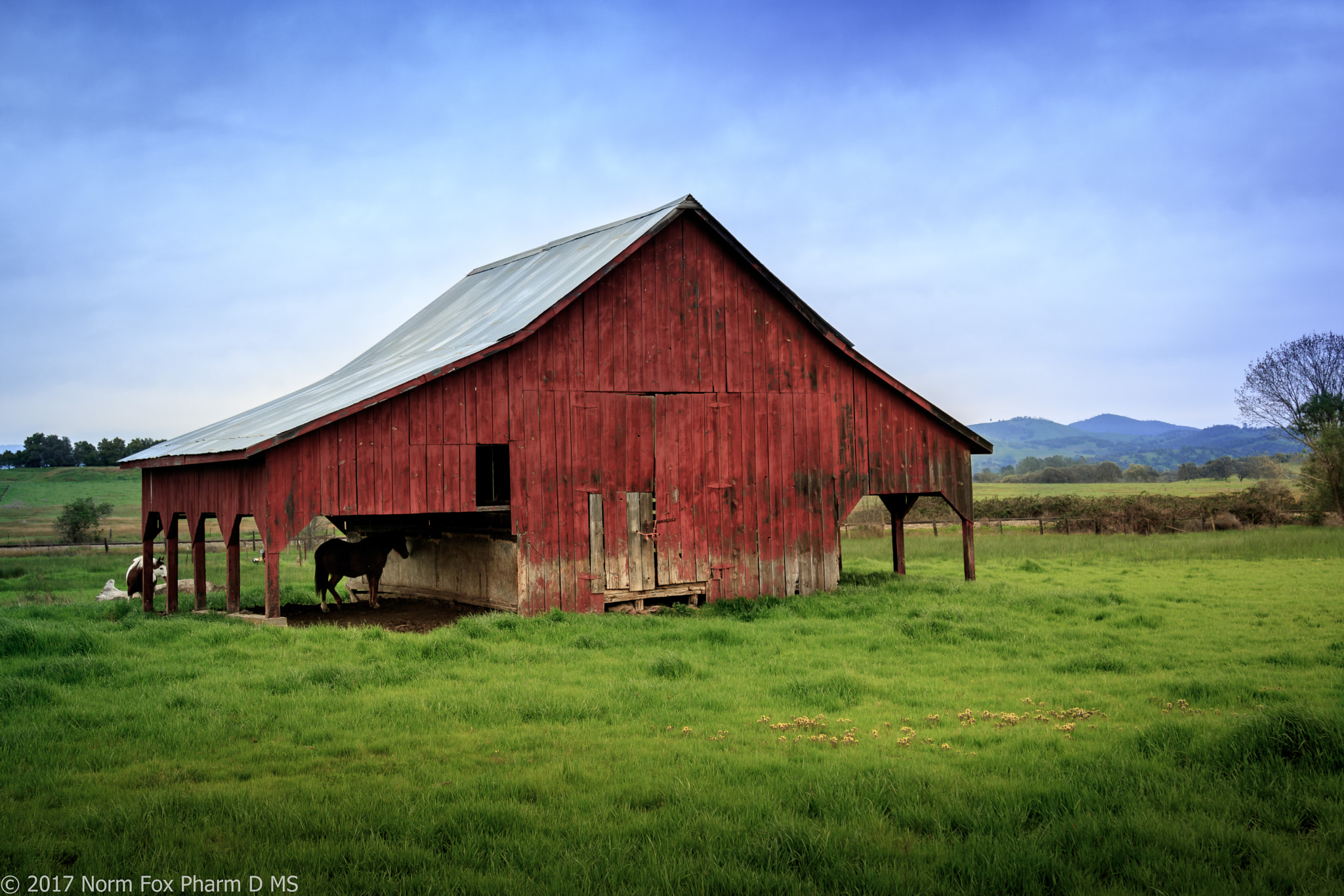 Canon EOS 760D (EOS Rebel T6s / EOS 8000D) sample photo. Red barn photography