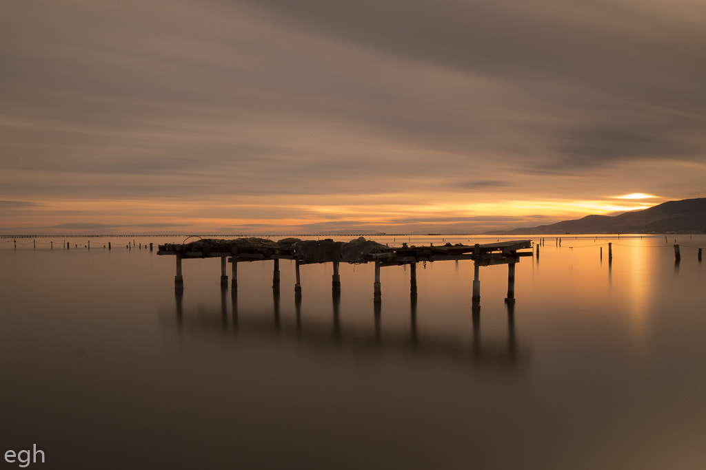 Sigma 10-20mm F3.5 EX DC HSM sample photo. Atardecer dorado photography