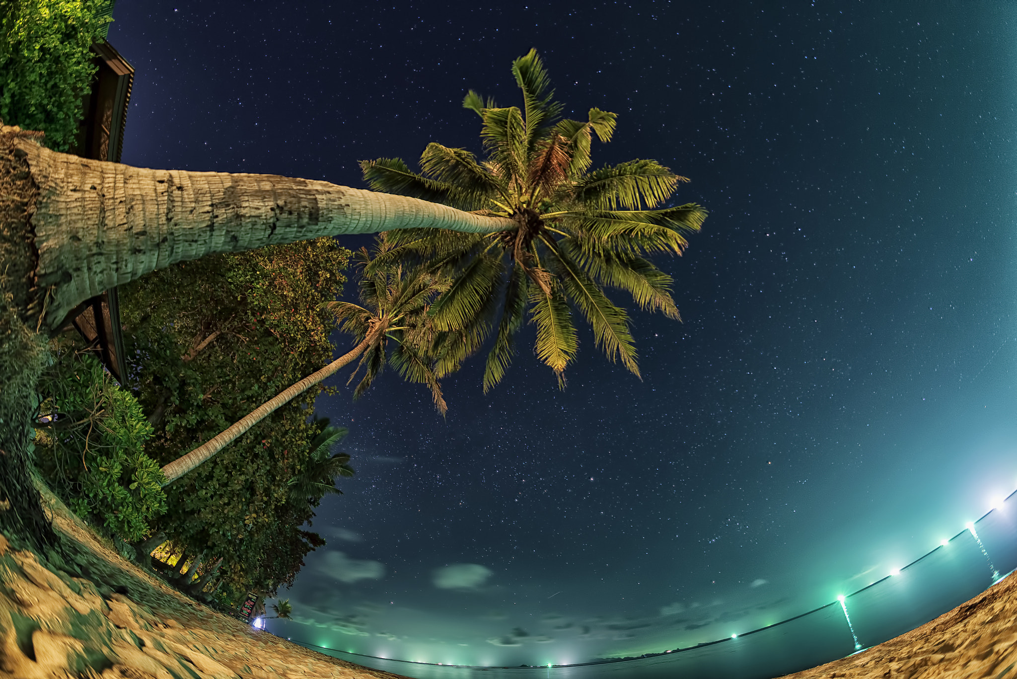 Nikon D750 + Samyang 12mm F2.8 ED AS NCS Fisheye sample photo. Midnight in siam photography