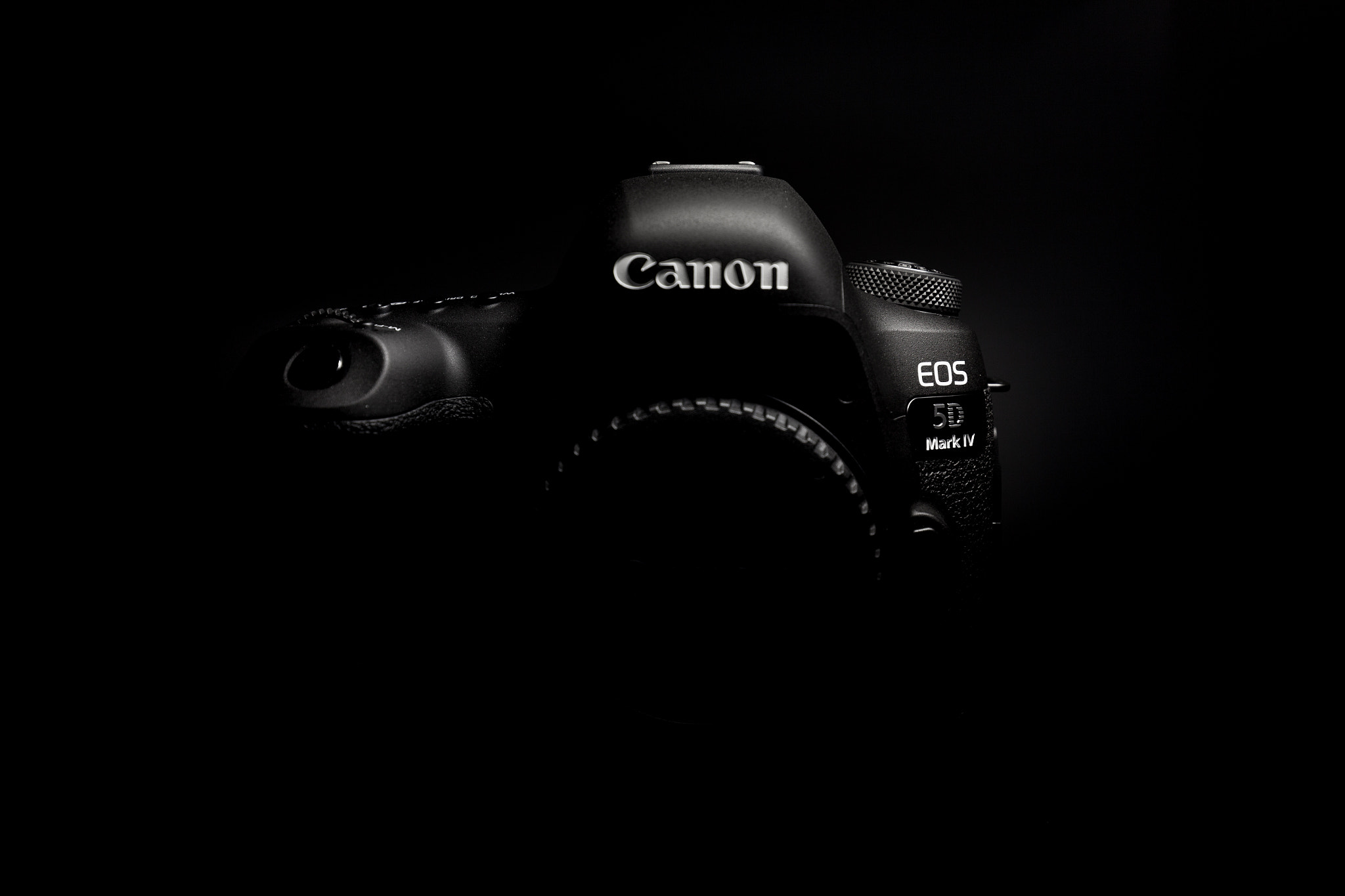 Canon EOS 5D Mark II sample photo. Mg photography