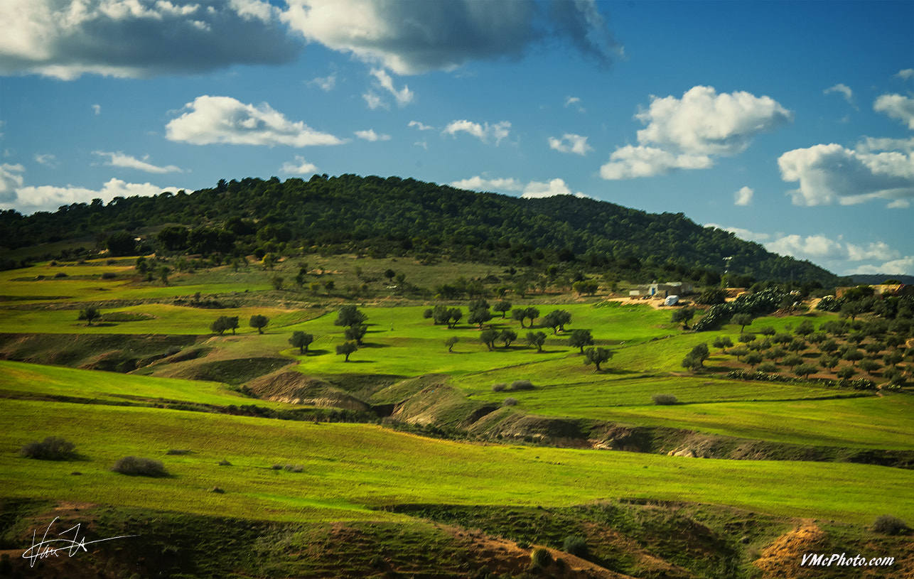Nikon D300S sample photo. Tunisian countryside photography