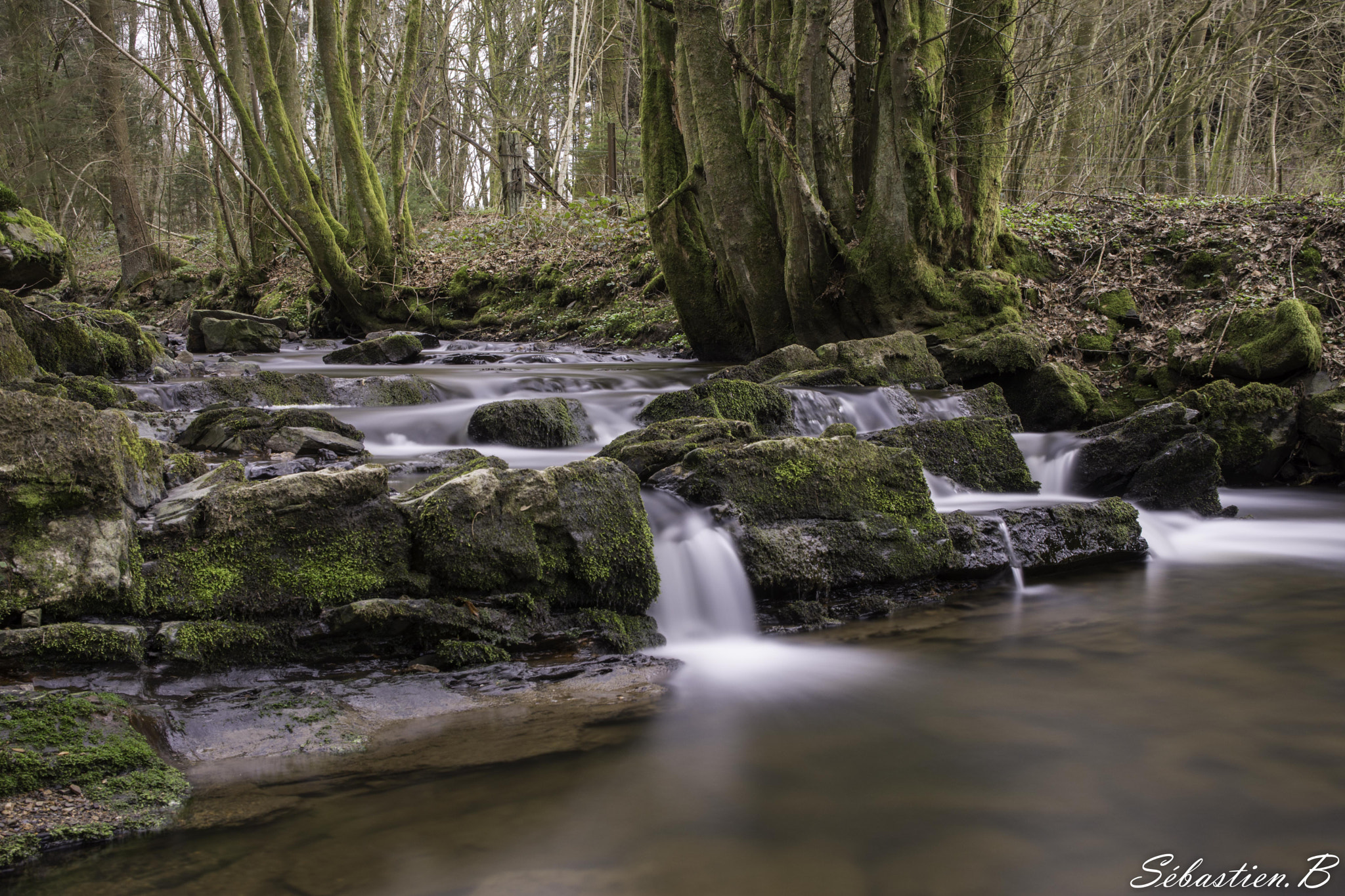 Nikon D7200 + Sigma 17-70mm F2.8-4 DC Macro OS HSM | C sample photo. Ruisseau rocroi photography