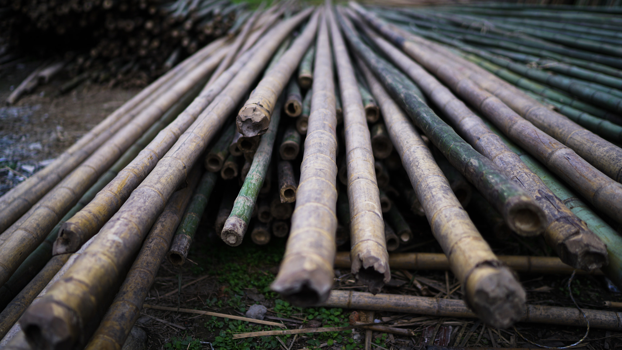 Sony a7R II sample photo. Bamboo as raw material 01 photography