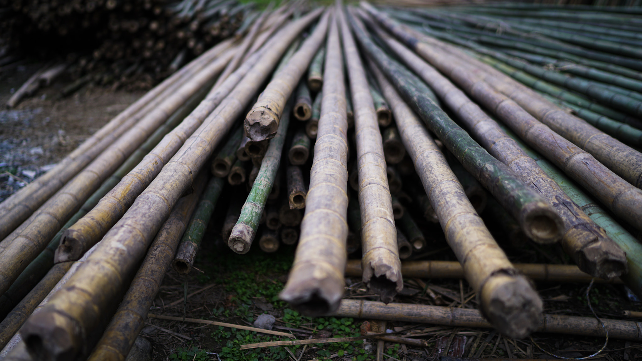 Sony a7R II + Sony Distagon T* FE 35mm F1.4 ZA sample photo. Bamboo as raw material 01 photography