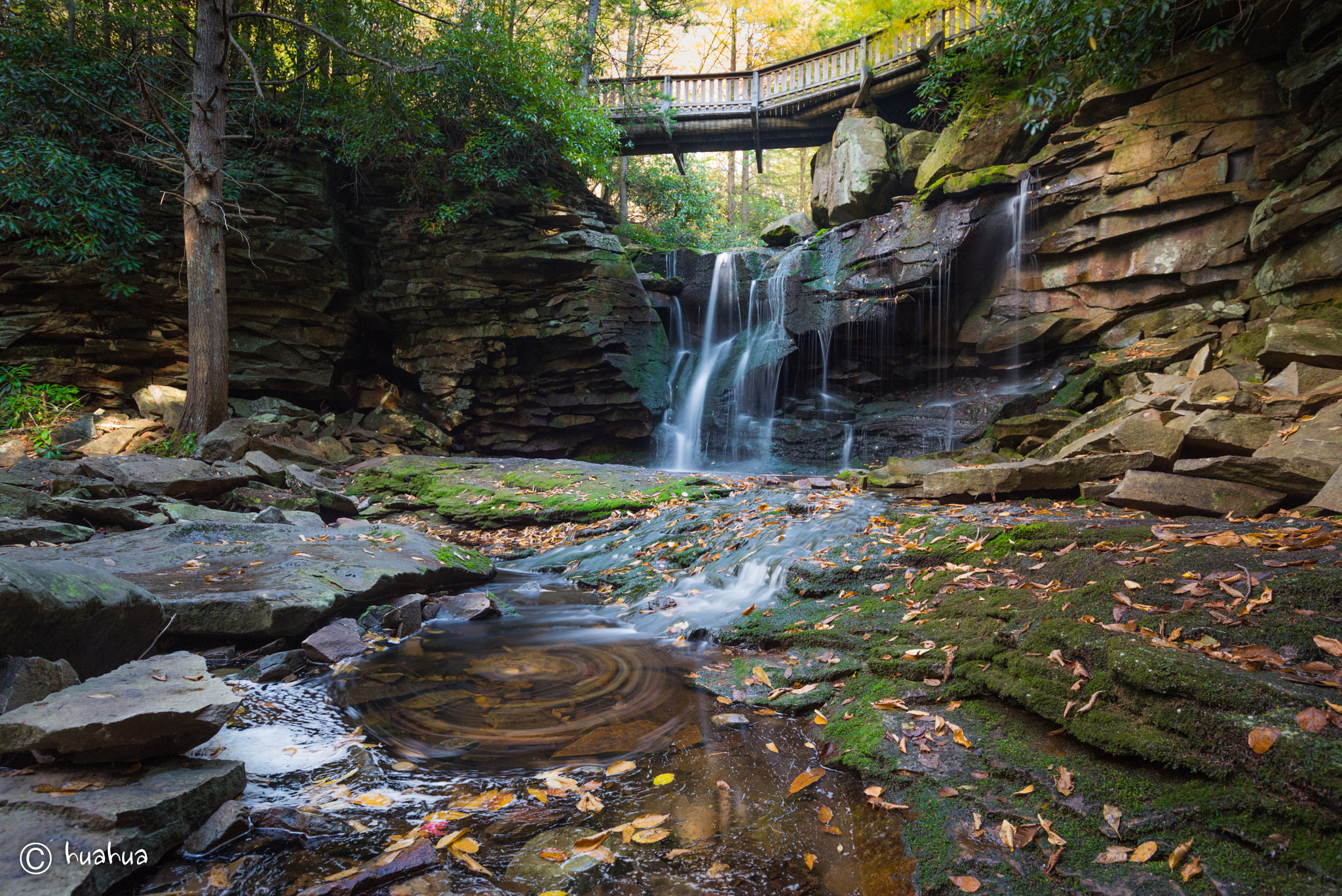 Nikon AF-S Nikkor 18-35mm F3.5-4.5G ED sample photo. Swirl fall photography