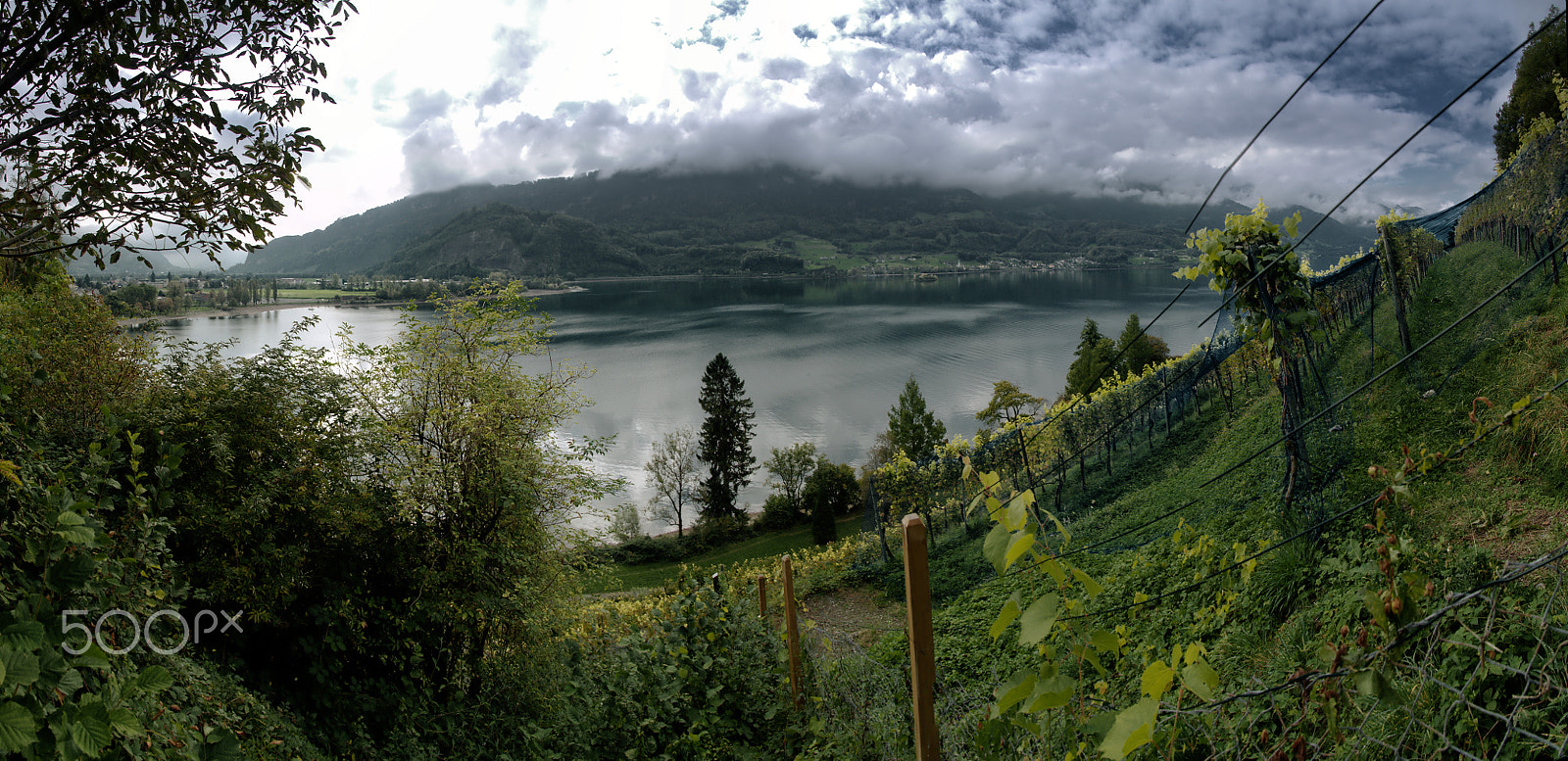 Nikon D300 sample photo. Walensee photography