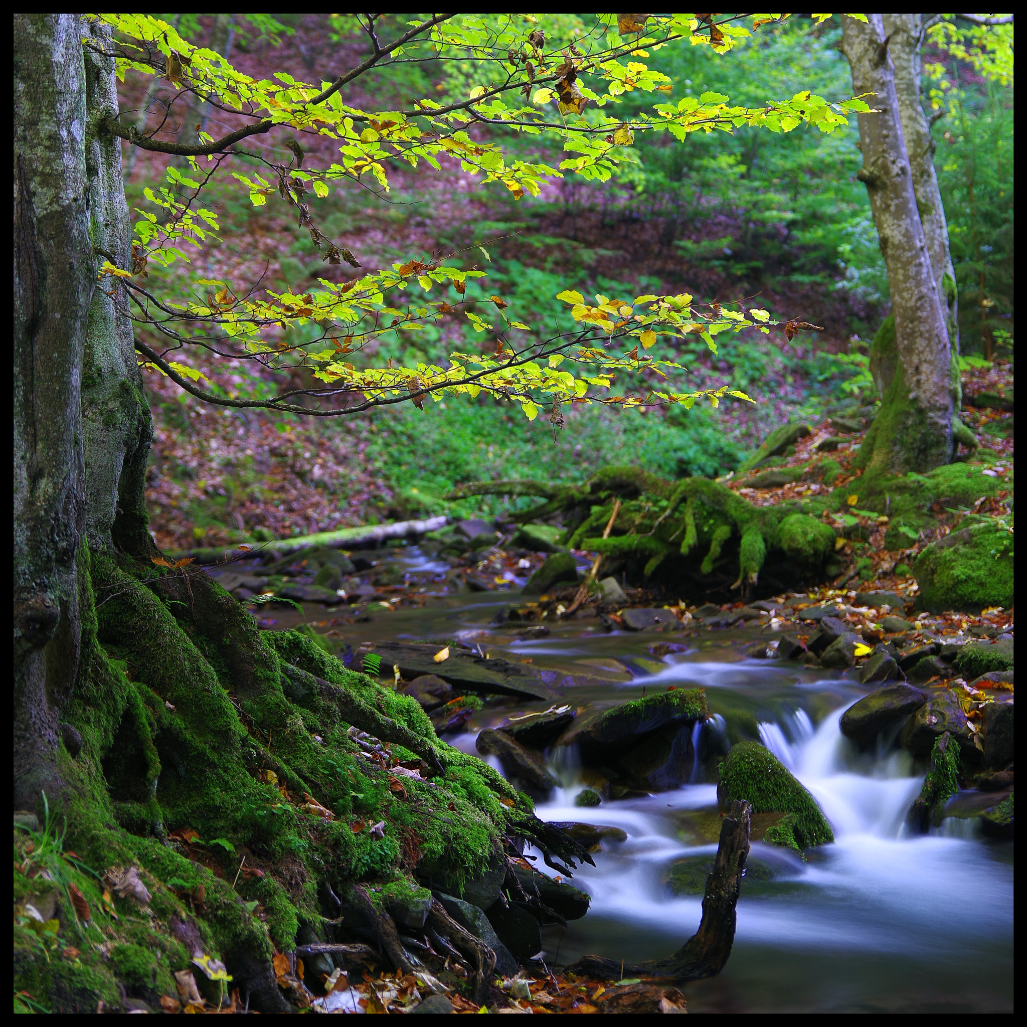 Pentax K-1 + HD Pentax D FA 24-70mm F2.8 ED SDM WR sample photo. Mountain river photography