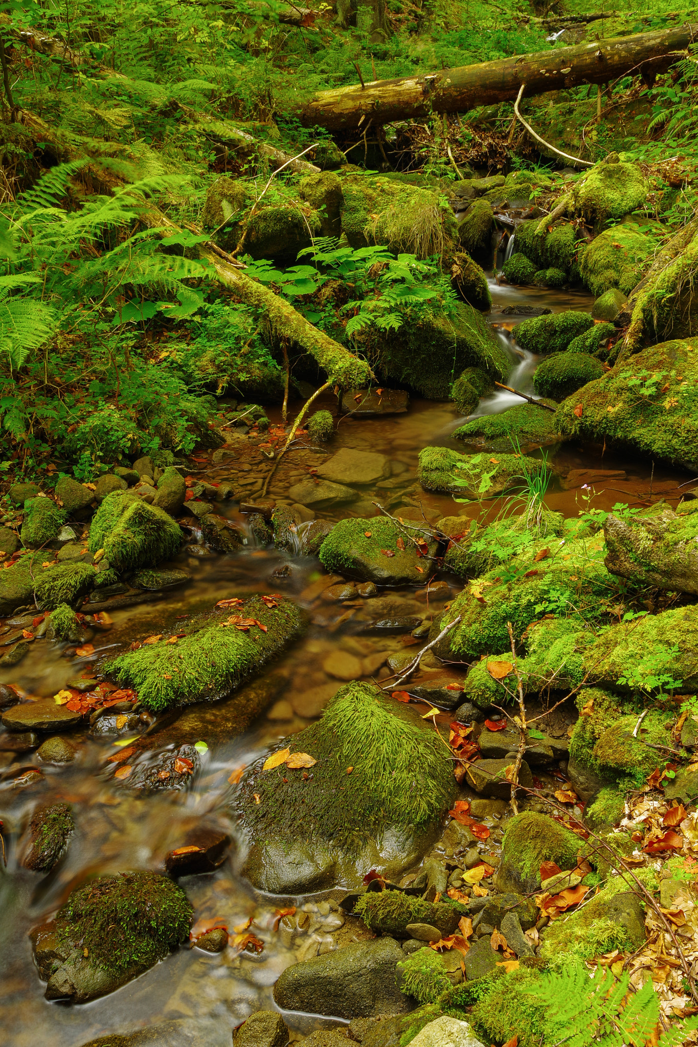 Pentax K-1 + HD Pentax D FA 24-70mm F2.8 ED SDM WR sample photo. Mountain river photography