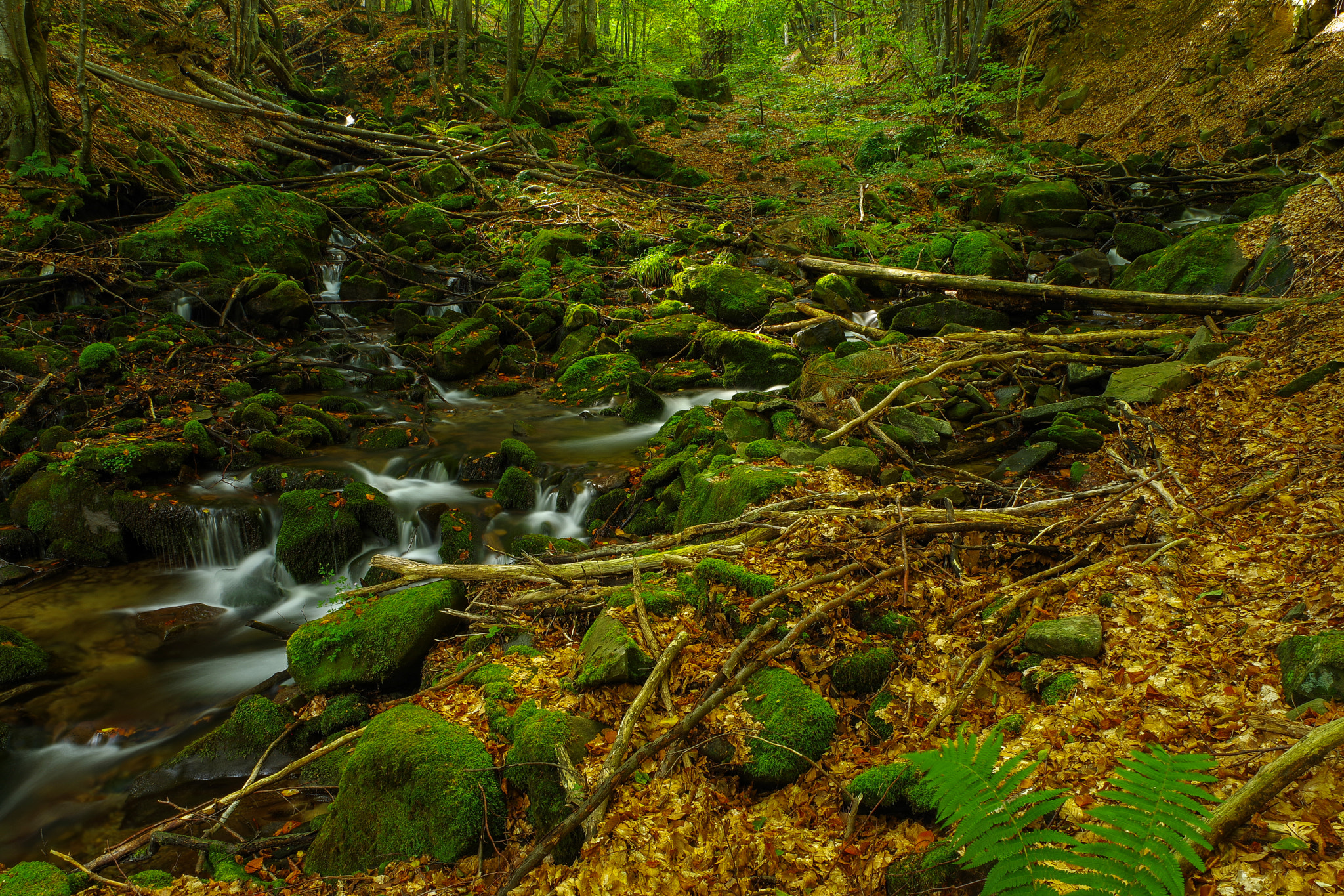 Pentax K-1 + HD Pentax D FA 24-70mm F2.8 ED SDM WR sample photo. Mountain river photography