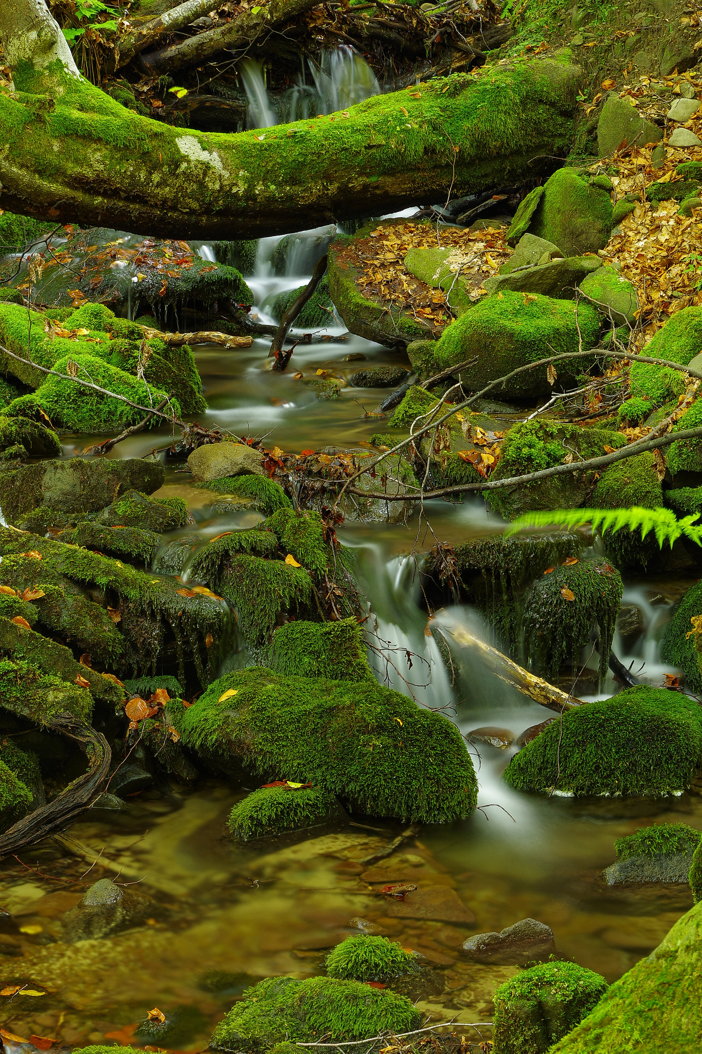 Pentax K-1 + HD Pentax D FA 24-70mm F2.8 ED SDM WR sample photo. Mountain river photography