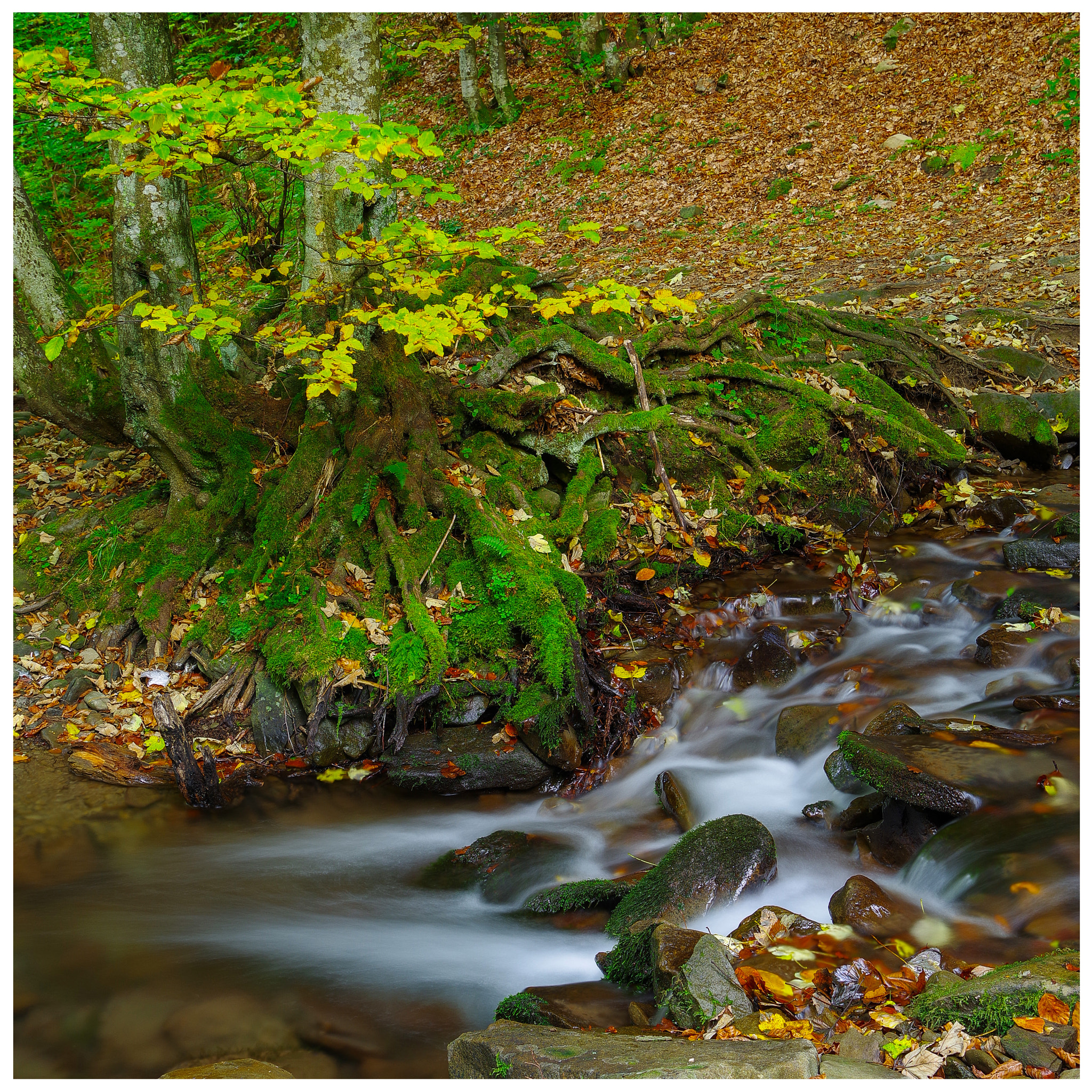 Pentax K-1 + HD Pentax D FA 24-70mm F2.8 ED SDM WR sample photo. Mountain river photography