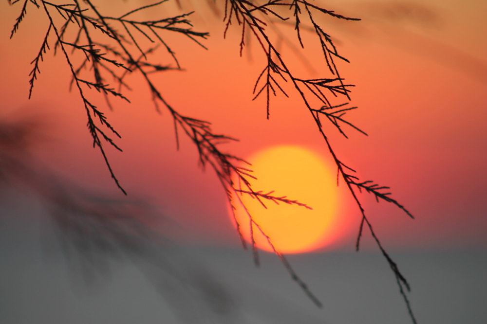 Canon EOS 1100D (EOS Rebel T3 / EOS Kiss X50) + EF75-300mm f/4-5.6 sample photo. Oltre il tramonto photography