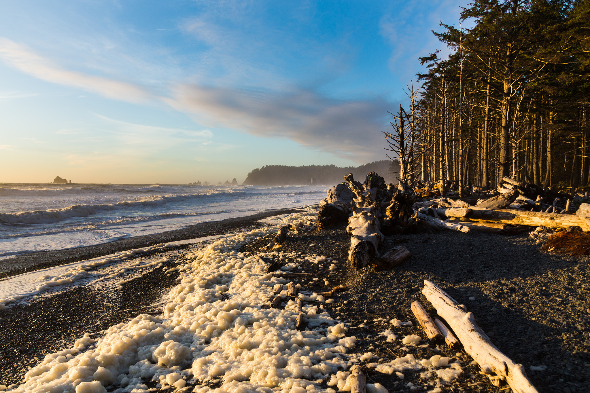 Canon EOS 6D + Canon EF 28-135mm F3.5-5.6 IS USM sample photo. The birth of venus - west coast edition photography