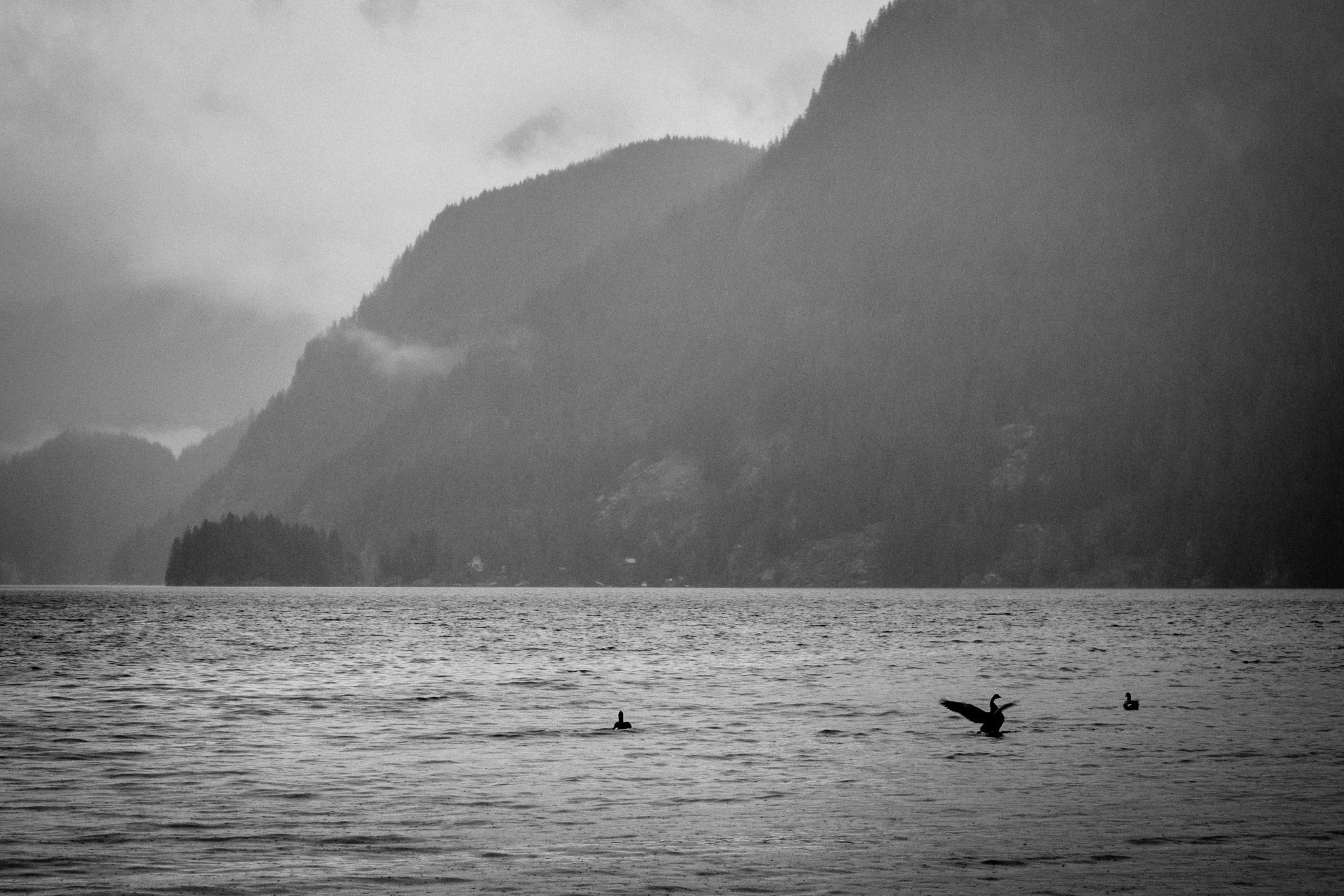 Fujifilm XF 18-55mm F2.8-4 R LM OIS sample photo. Liftoff into the fog photography