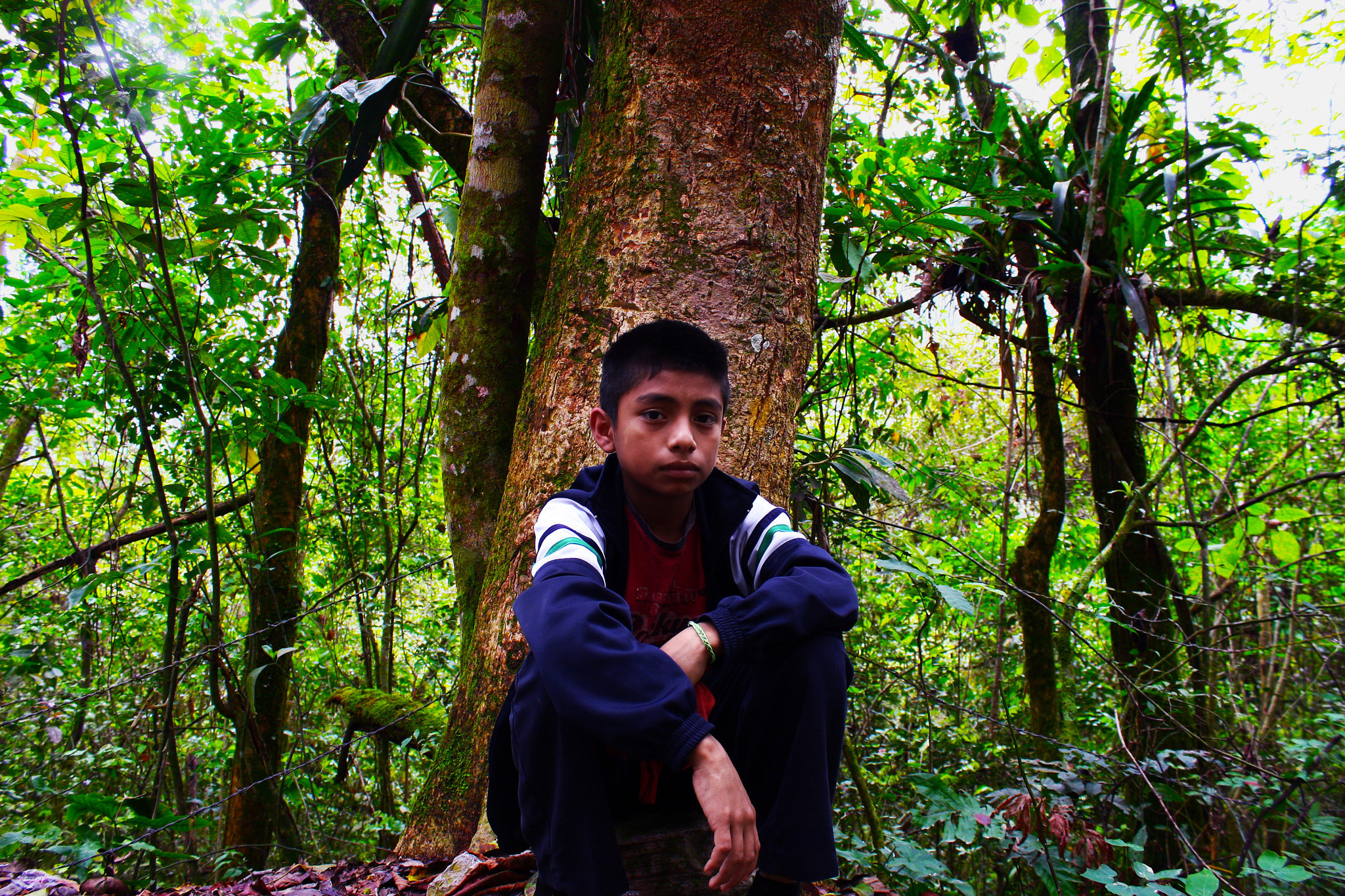 Canon EOS 40D sample photo. Img photography