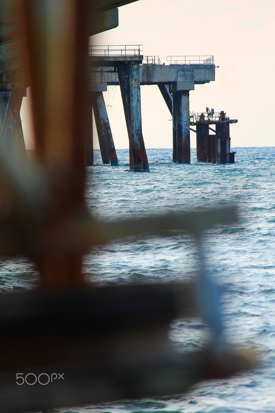 Canon EF-S 55-250mm F4-5.6 IS sample photo. Molo photography