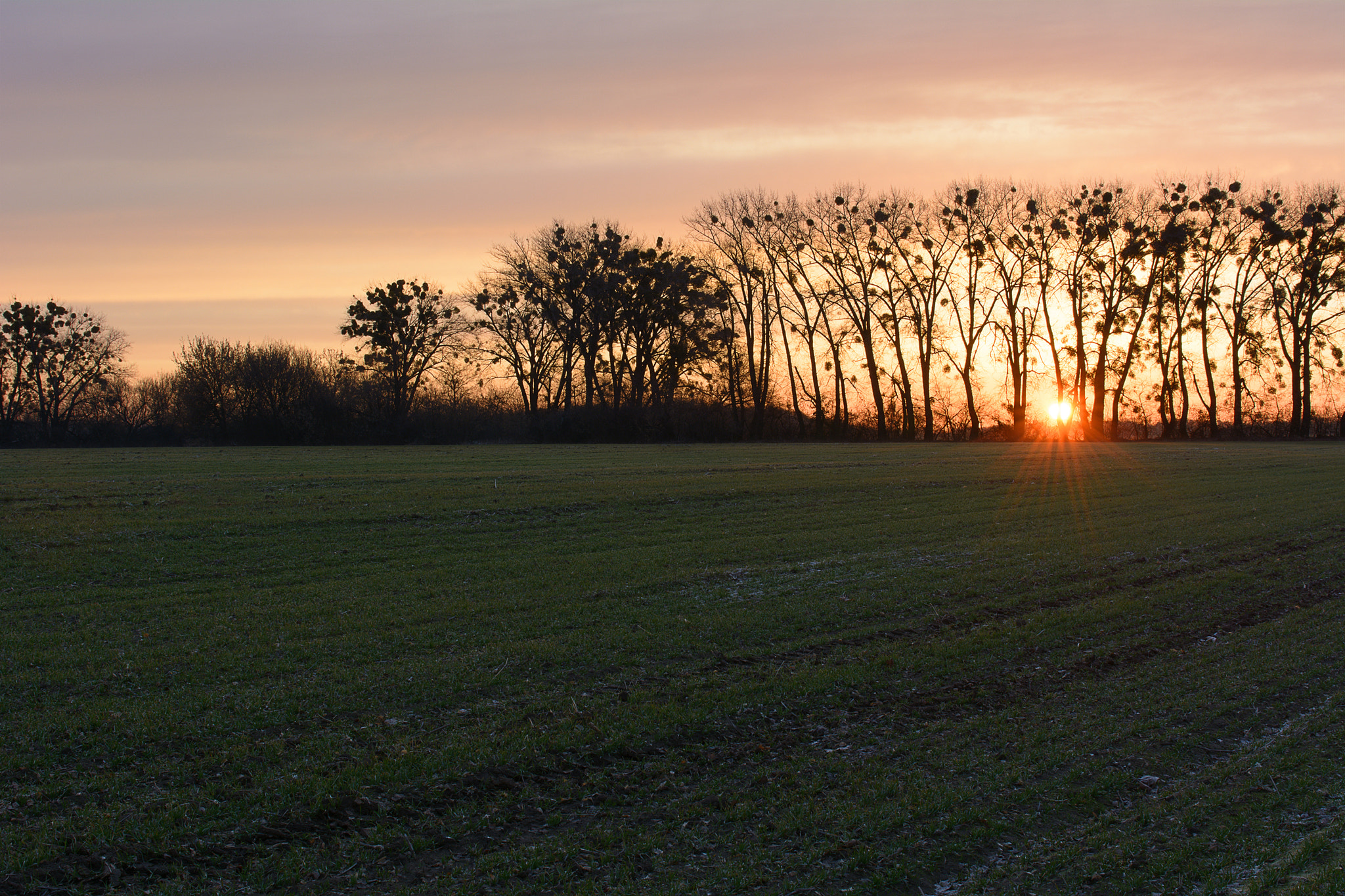 Nikon AF-S Nikkor 24-70mm F2.8G ED sample photo. The first rays photography